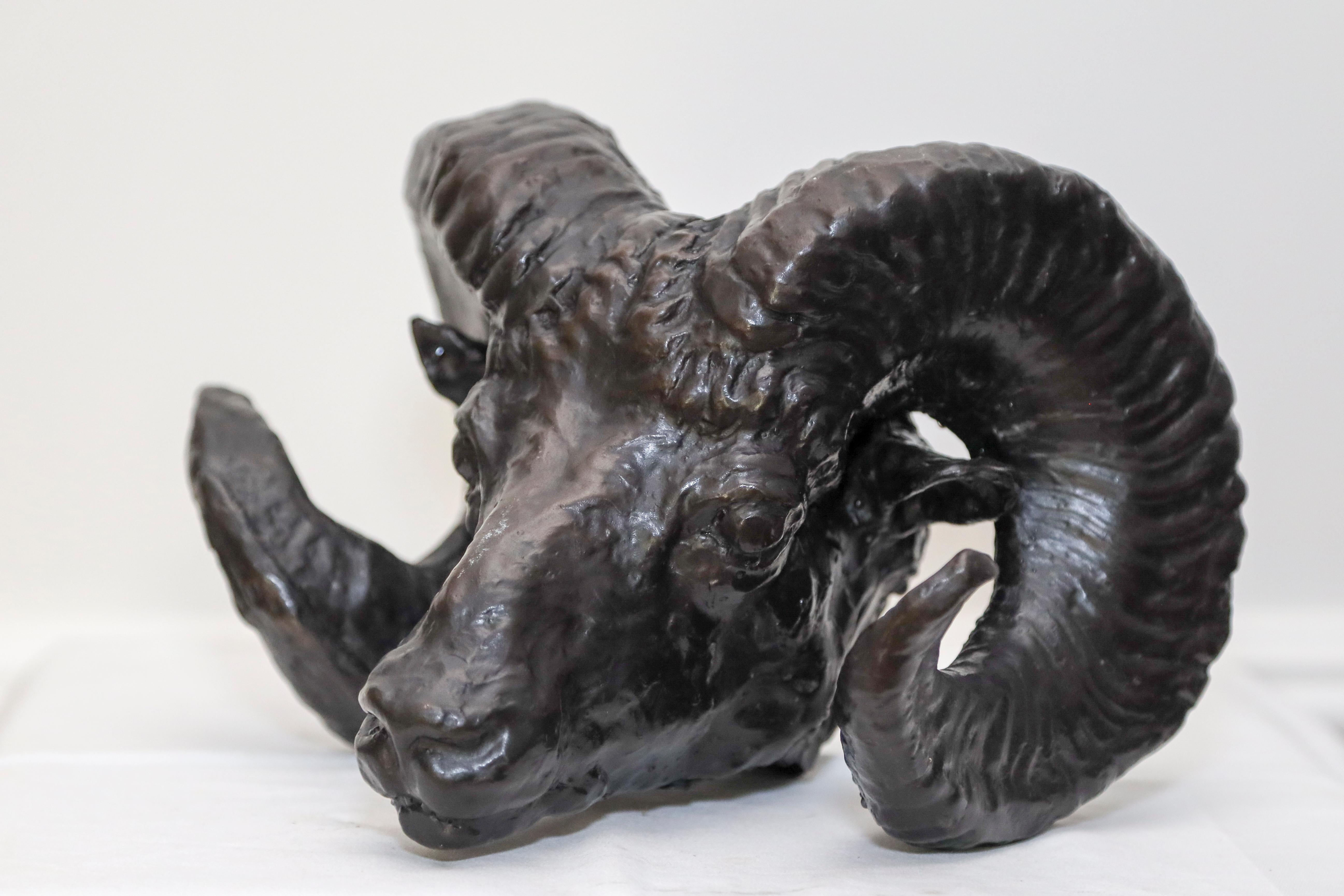 Sculpture de tête de bélier en bronze de Charles Rumsey - Or Figurative Sculpture par Charles Cary Rumsey