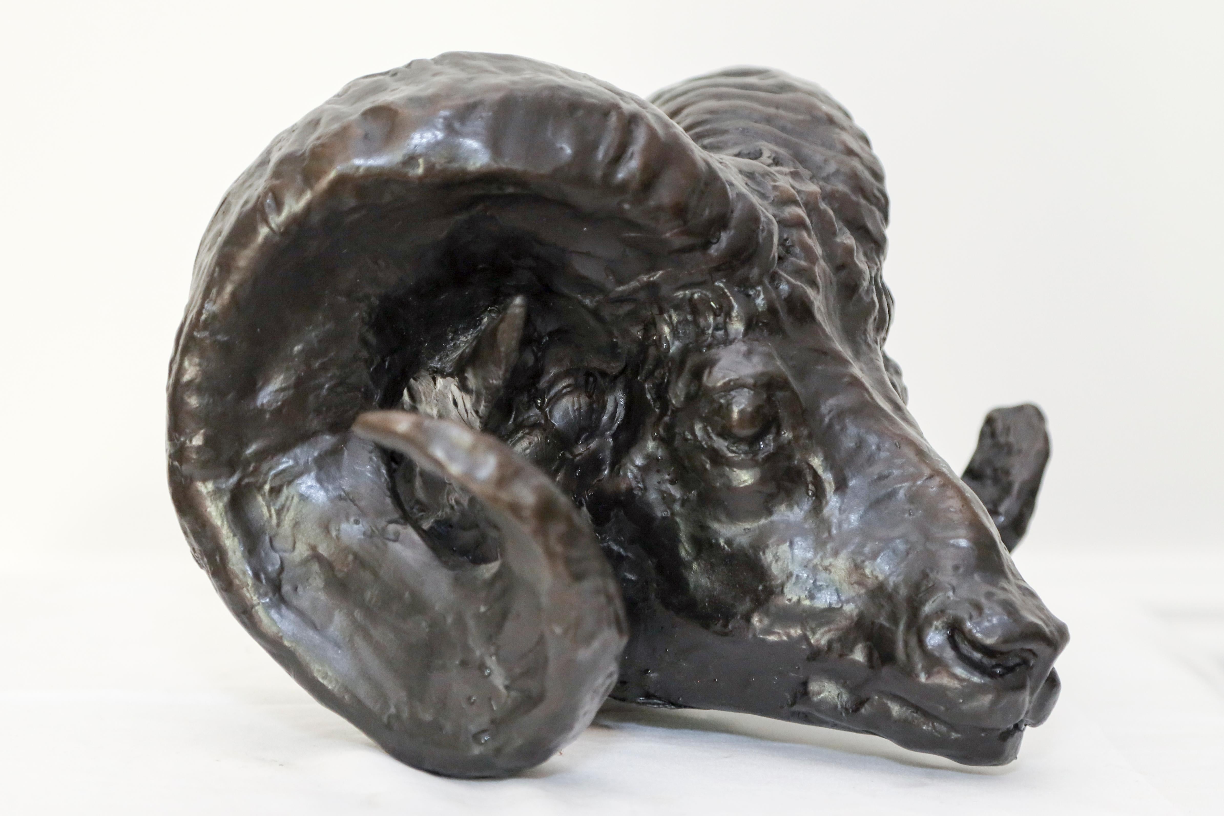 Rams Head Sculpture in Bronze by Charles Rumsey For Sale 1