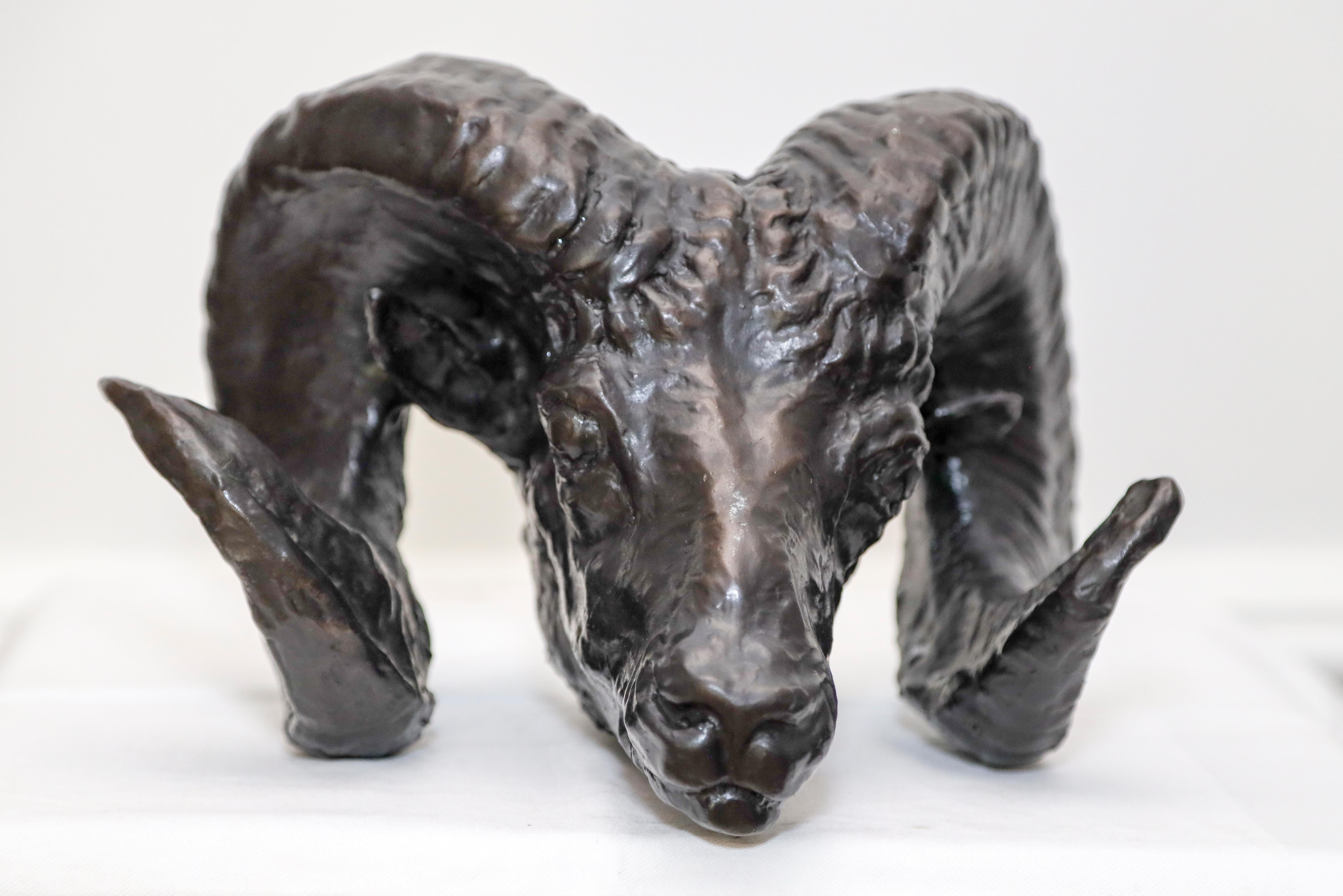 Charles Cary Rumsey Figurative Sculpture - Rams Head Sculpture in Bronze by Charles Rumsey