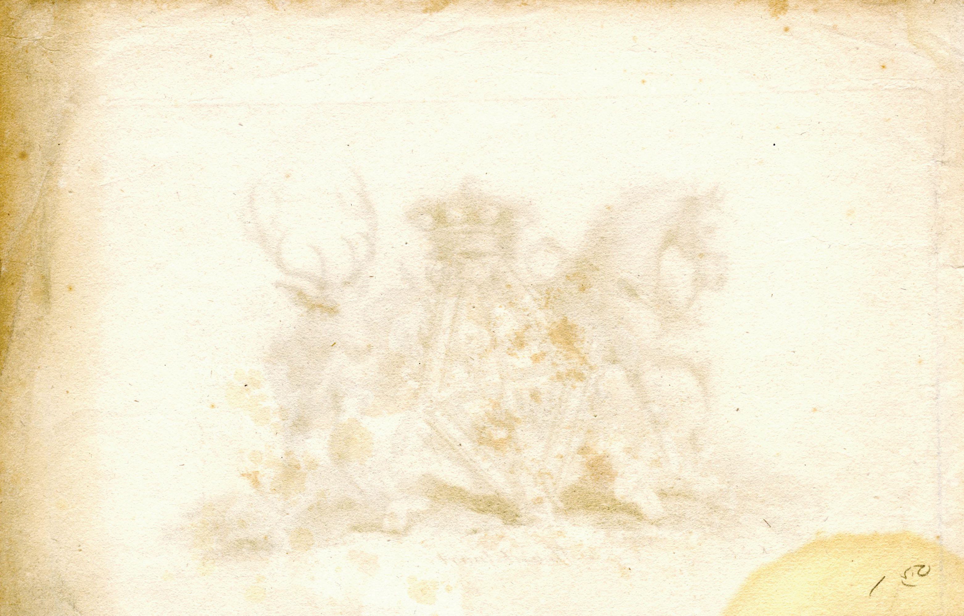 The Mountstuart Wappen – Print von Charles Catton
