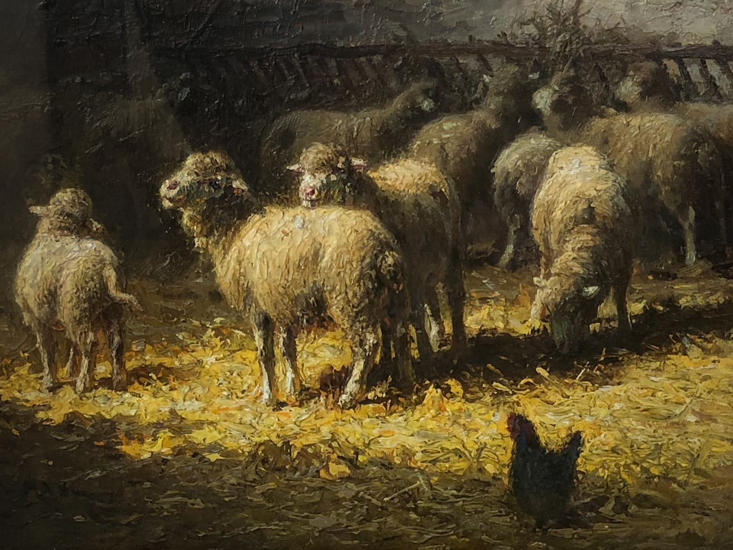 Sheep in Barn Relishing Sunlight - Painting by Charles Clair