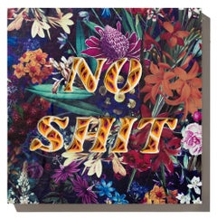 "NO SHIT", "Text-i-monial" series by Charles Clary