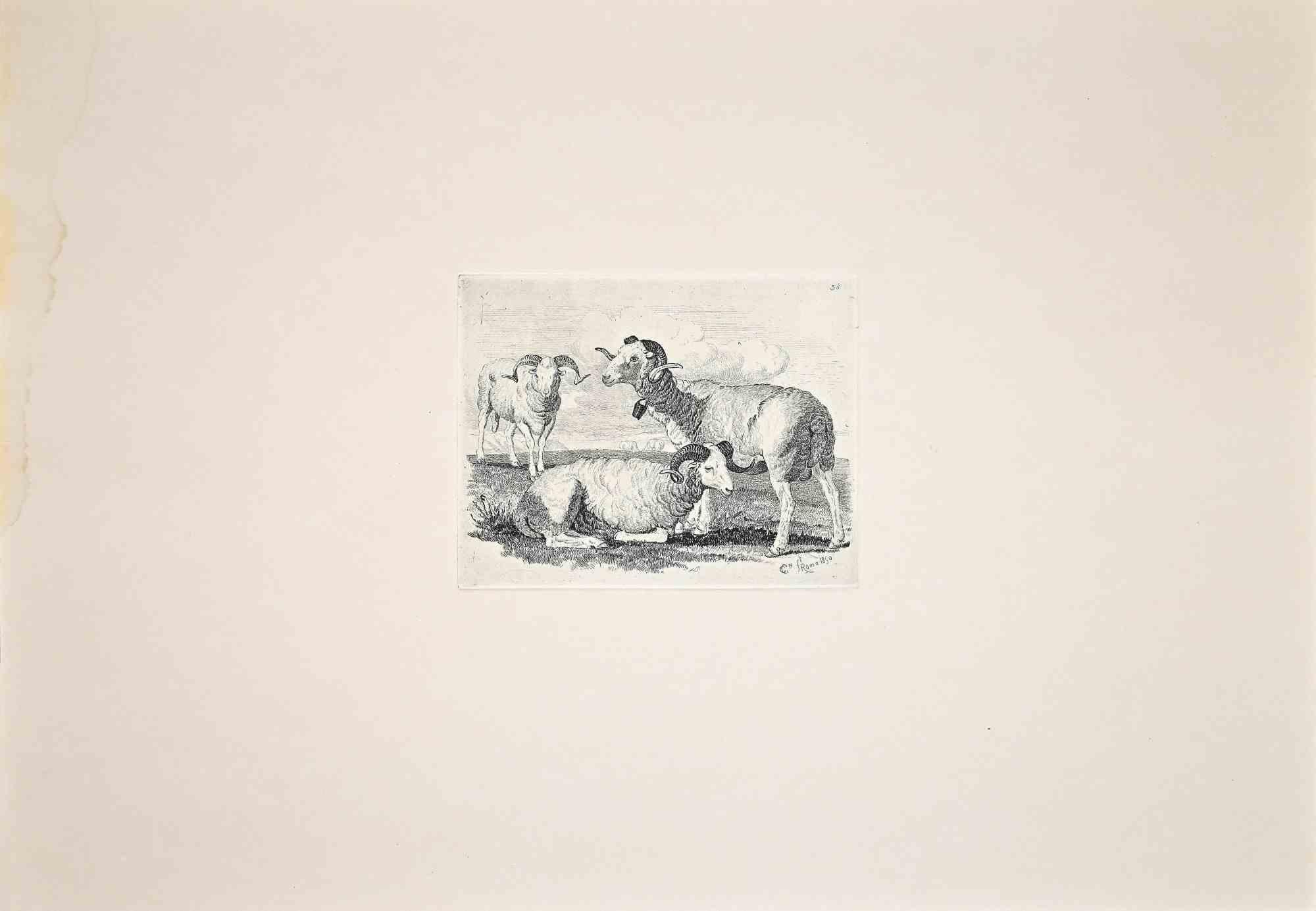 Goats in the Roman Countryside is an original etching artwork realized after Charles Coleman (1807, Yorkshire - 1874, Roma) in 1992.

Signed on the plate, the rare edition of only 25 copies.

Good condition except for a light stain along the left