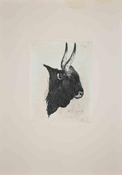 The Buffalo - Original Etching After Charles Coleman - 1992