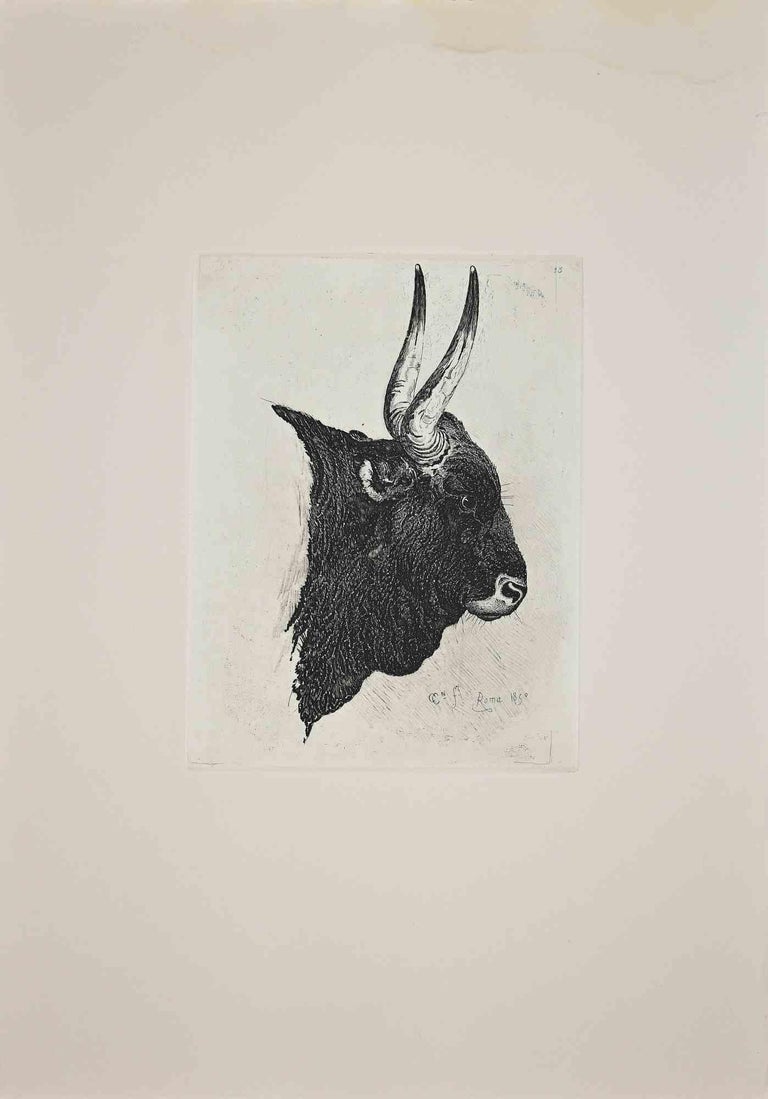 The Buffalo is an original etching artwork realized after Charles Coleman (1807, Yorkshire - 1874, Roma) in 1992.

Signed on the plate. The rare edition of only 25 copies.

Good condition with a minor stain at the top.

This artwork is from the