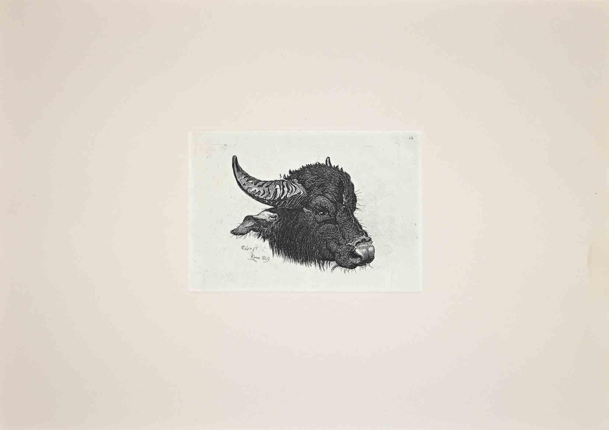 The Buffalo - Original Etching After Charles Coleman - 1992