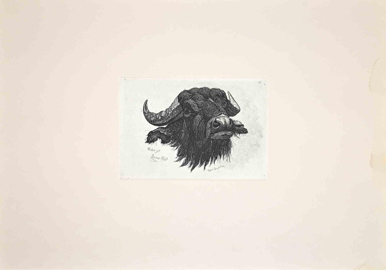 The Buffalo is an original etching artwork realized after Charles Coleman (1807, Yorkshire - 1874, Roma) in 1992.

Signed on the plate. The rare edition of only 25 copies.

Good condition with a minor stain on the right margin.

This artwork is from