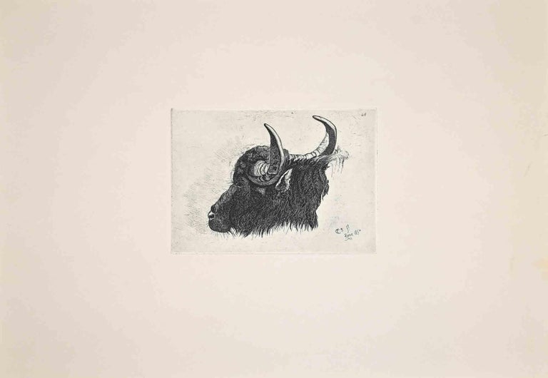 The Bull in the Roman Countryside is an original etching artwork realized after Charles Coleman (1807, Yorkshire - 1874, Roma) in 1992.

Signed on the plate, the rare edition of only 25 copies.

Good condition.

This artwork is from the album "A