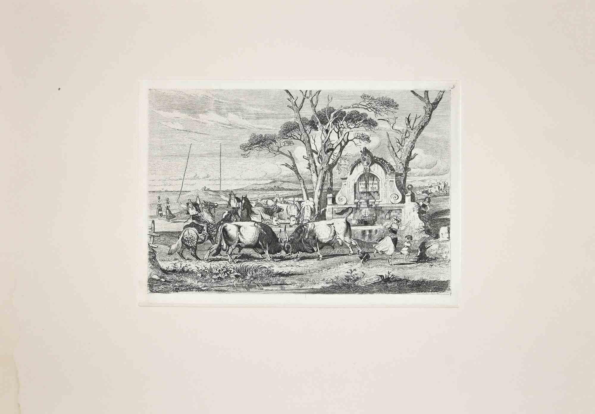 The bulls' fight in  Roman Countryside with the carriage is an original etching artwork realized after Charles Coleman (1807, Yorkshire - 1874, Roma) in 1992.

Signed on the plate. The rare edition of only 25 copies.

Good condition with a minor