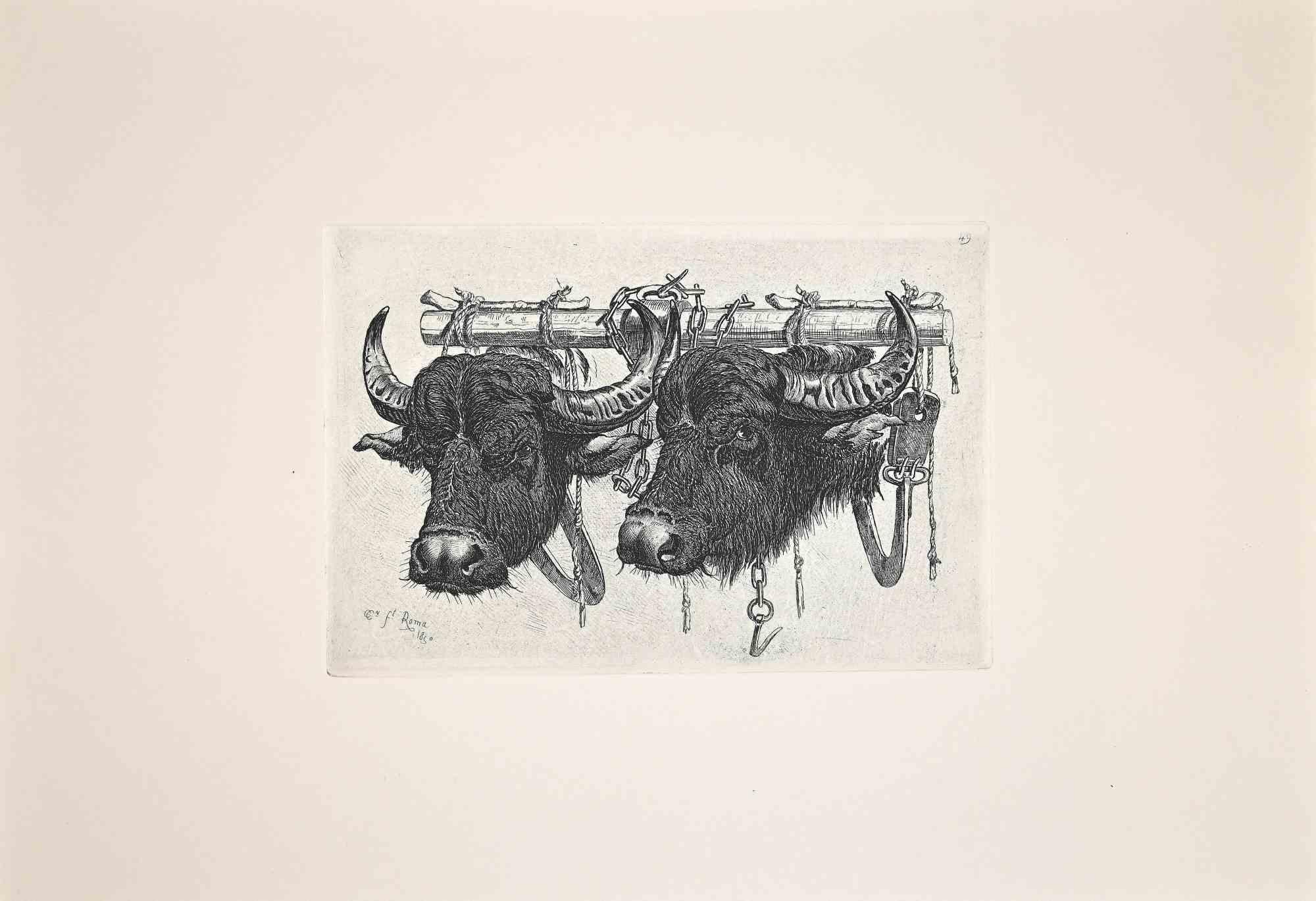 The Bulls in the Roman Countrysid - Original Etching After Charles Coleman-1992