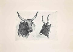 The Bulls in the Roman Countryside - Original Etching After Charles Coleman-1992