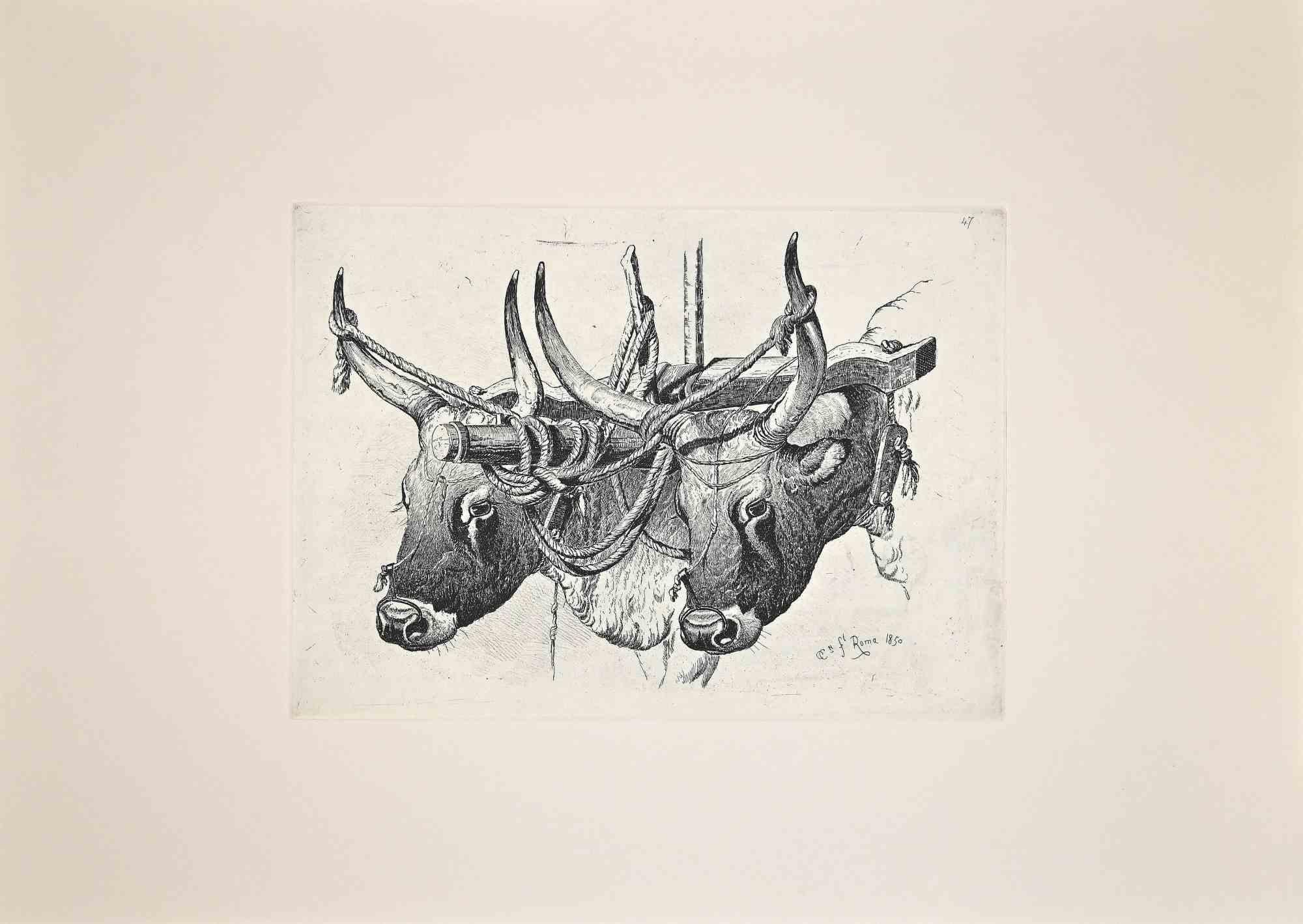 The Bulls in the Roman Countryside - Original Etching After Charles Coleman-1992