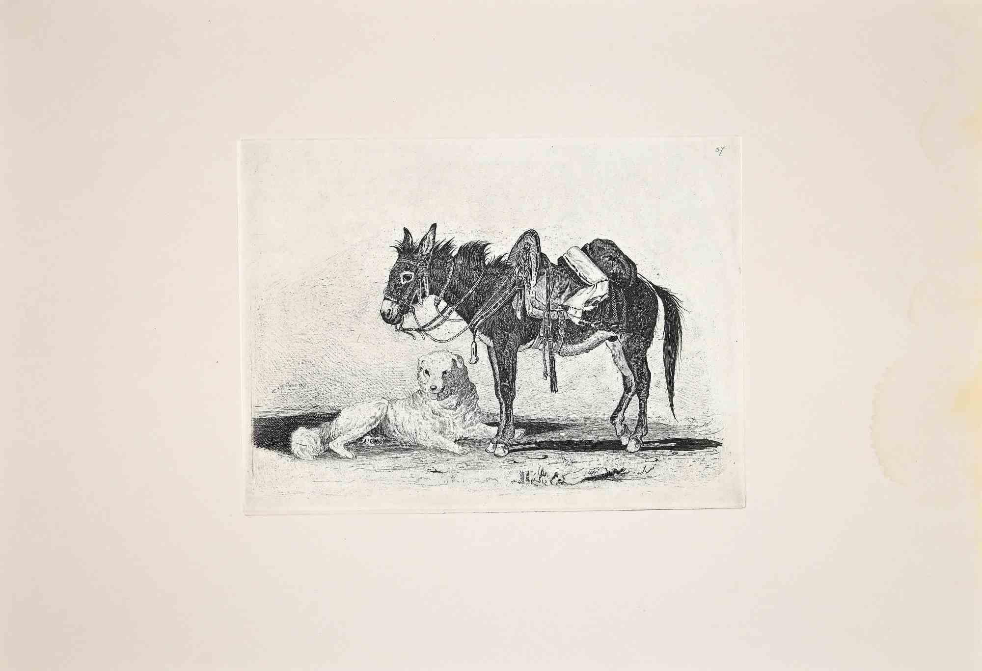 The donkey and the dog is an original etching artwork realized after Charles Coleman (1807, Yorkshire - 1874, Roma) in 1992.

Signed on the plate, the rare edition of only 25 copies.

Good condition with a minor stain on the right margin.

This