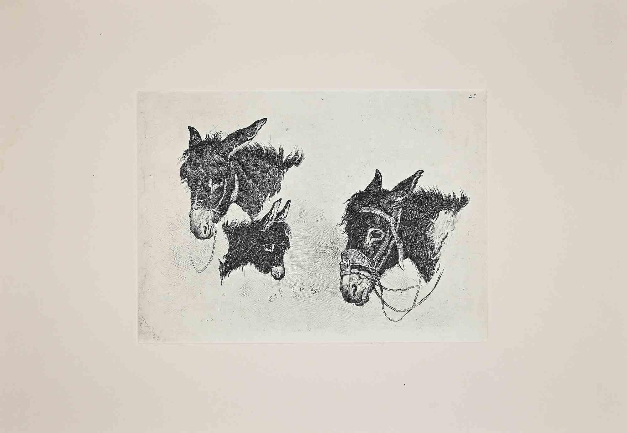 The Donkey in the Roman Countryside - Etching After Charles Coleman-1992