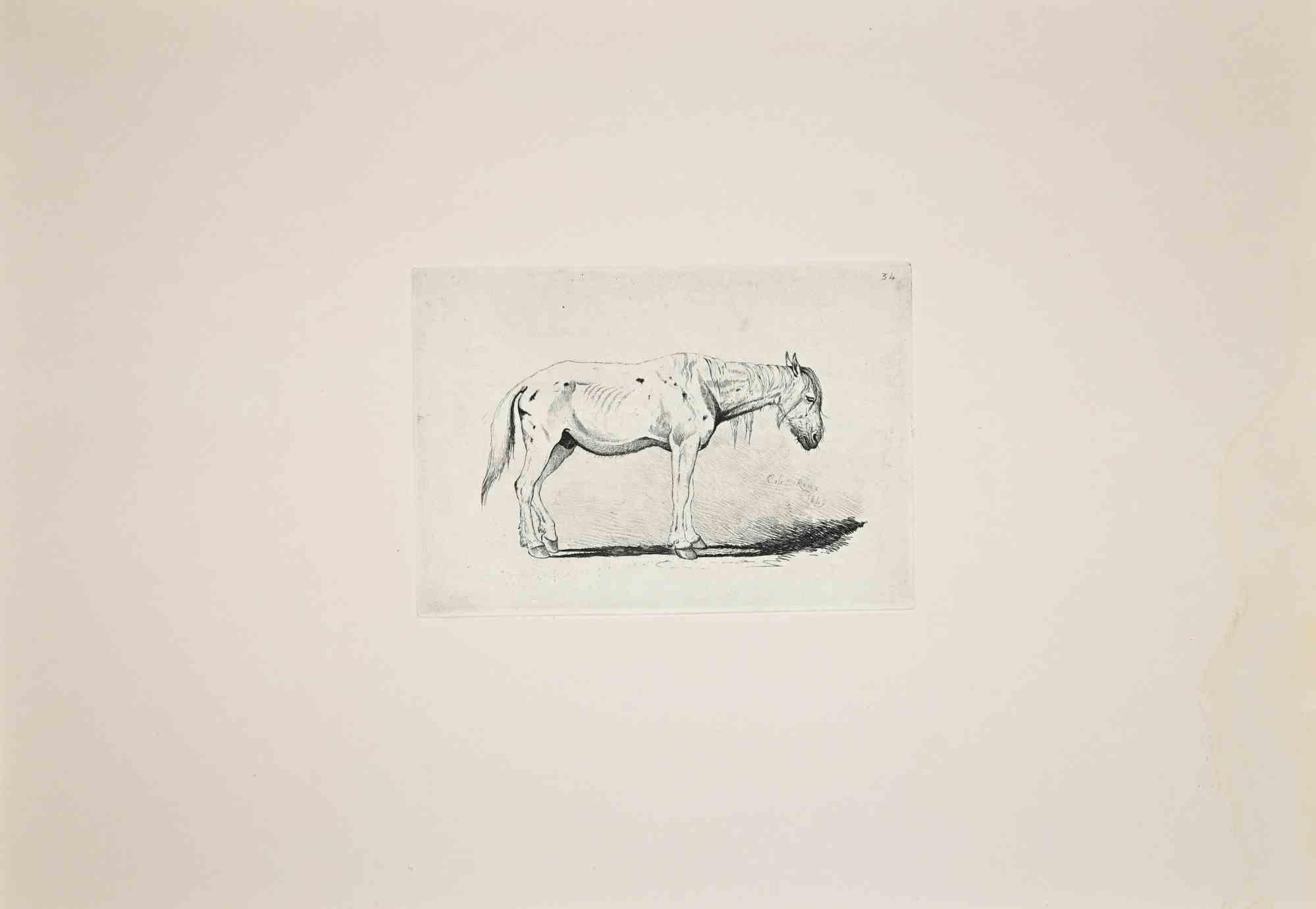 The Donkey - Etching After Charles Coleman - 1992