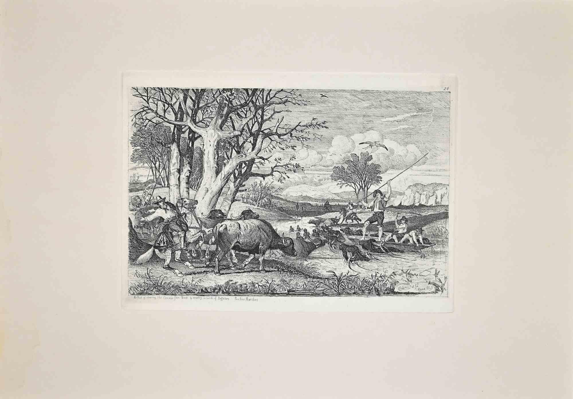 The Herding in Roman Countryside is an original etching artwork realized after Charles Coleman (1807, Yorkshire - 1874, Roma) in 1992.

Signed on the plate, the rare edition of only 25 copies.

Titled on the lower left on the plate.

Guter