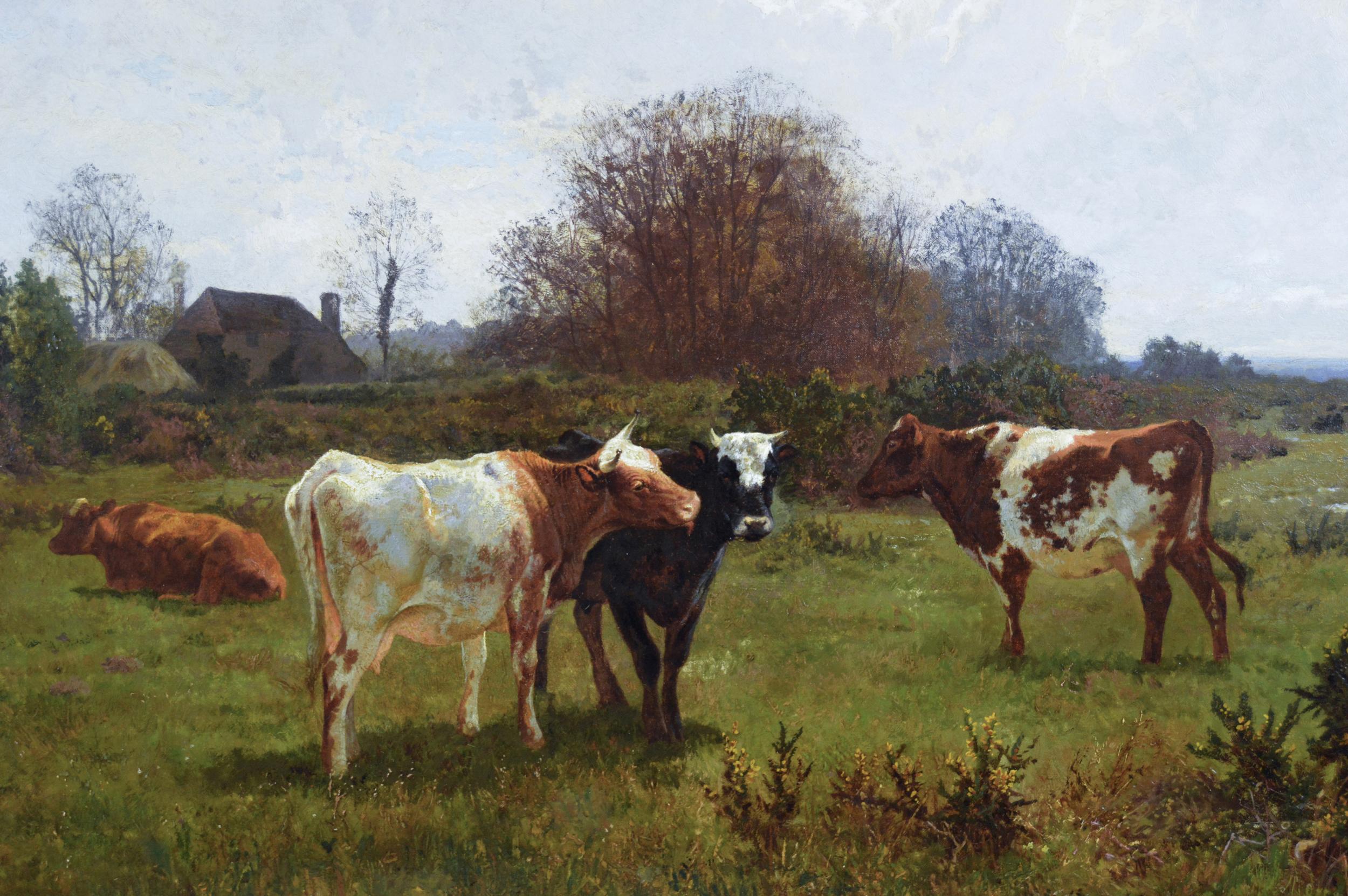 cow oil paintings