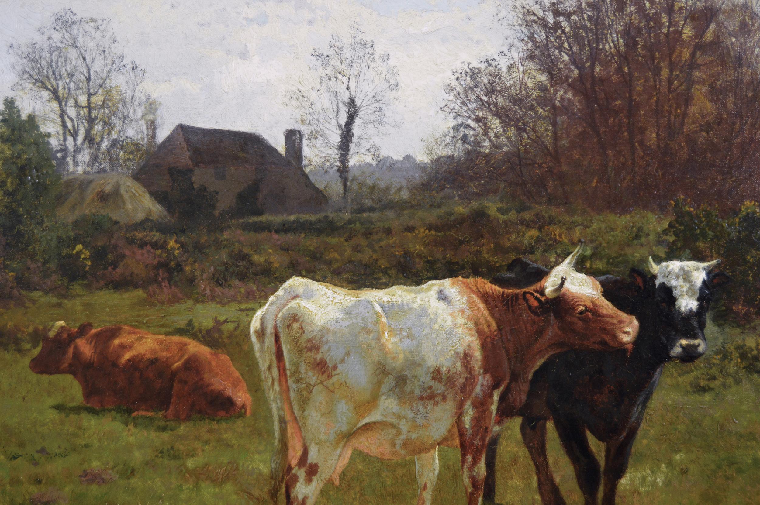 cattle painting