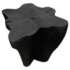CHARLES CUSTOM LISTING #1 #1. 16 x 14 x18 “ high.