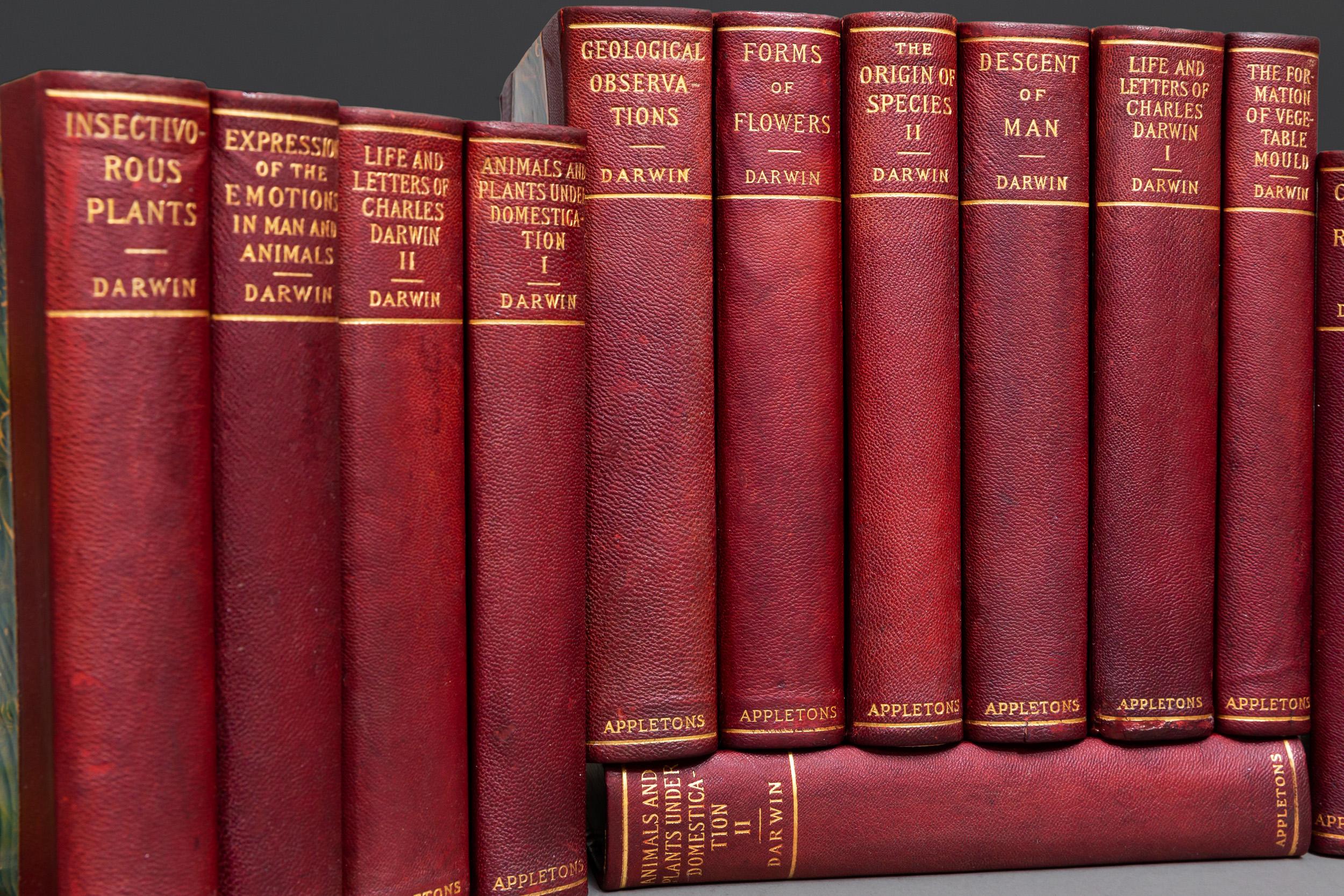Late 19th Century Charles Darwin, Complete Works