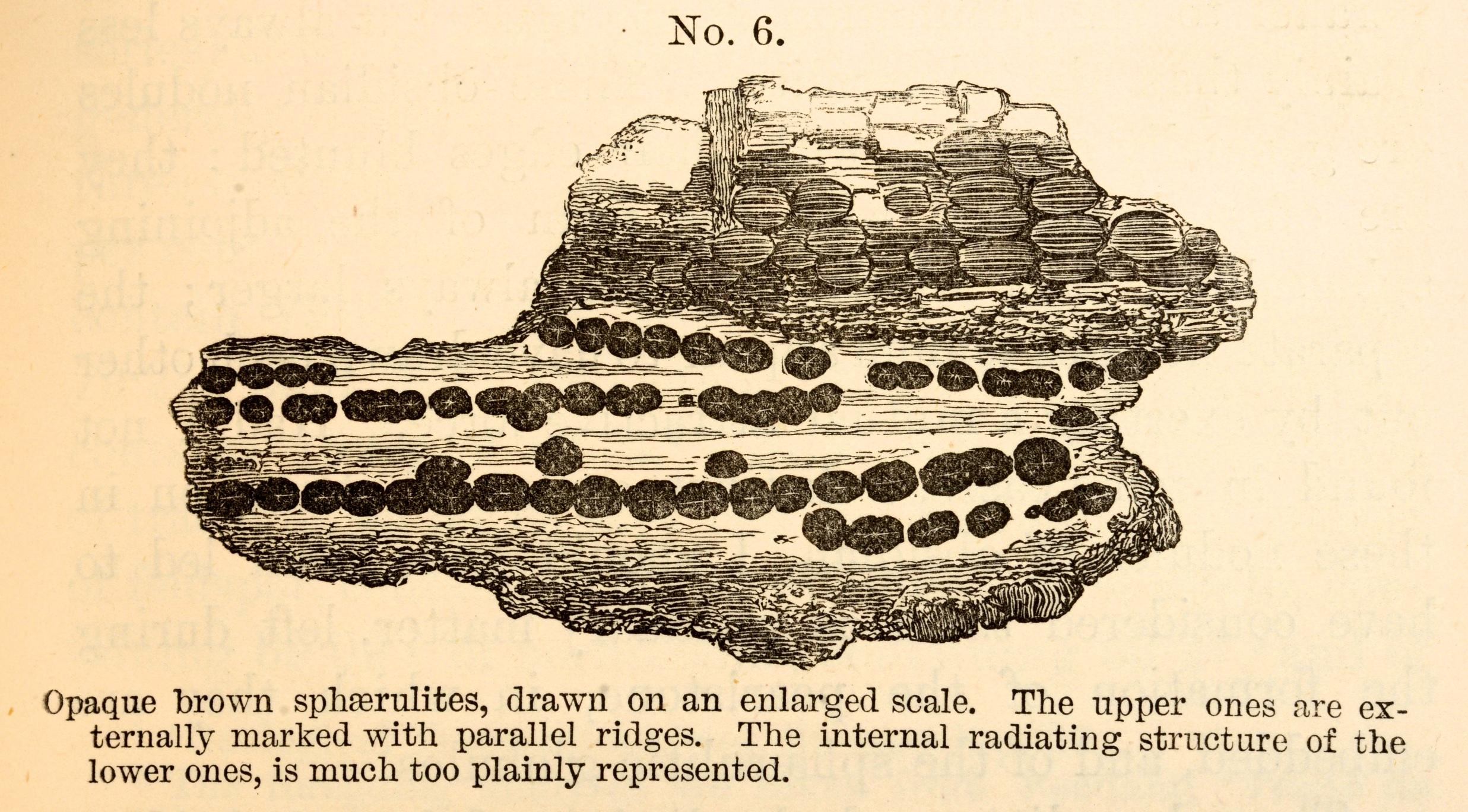 Charles Darwin, Geological Observations on the Volcanic Islands, circa 1891 8