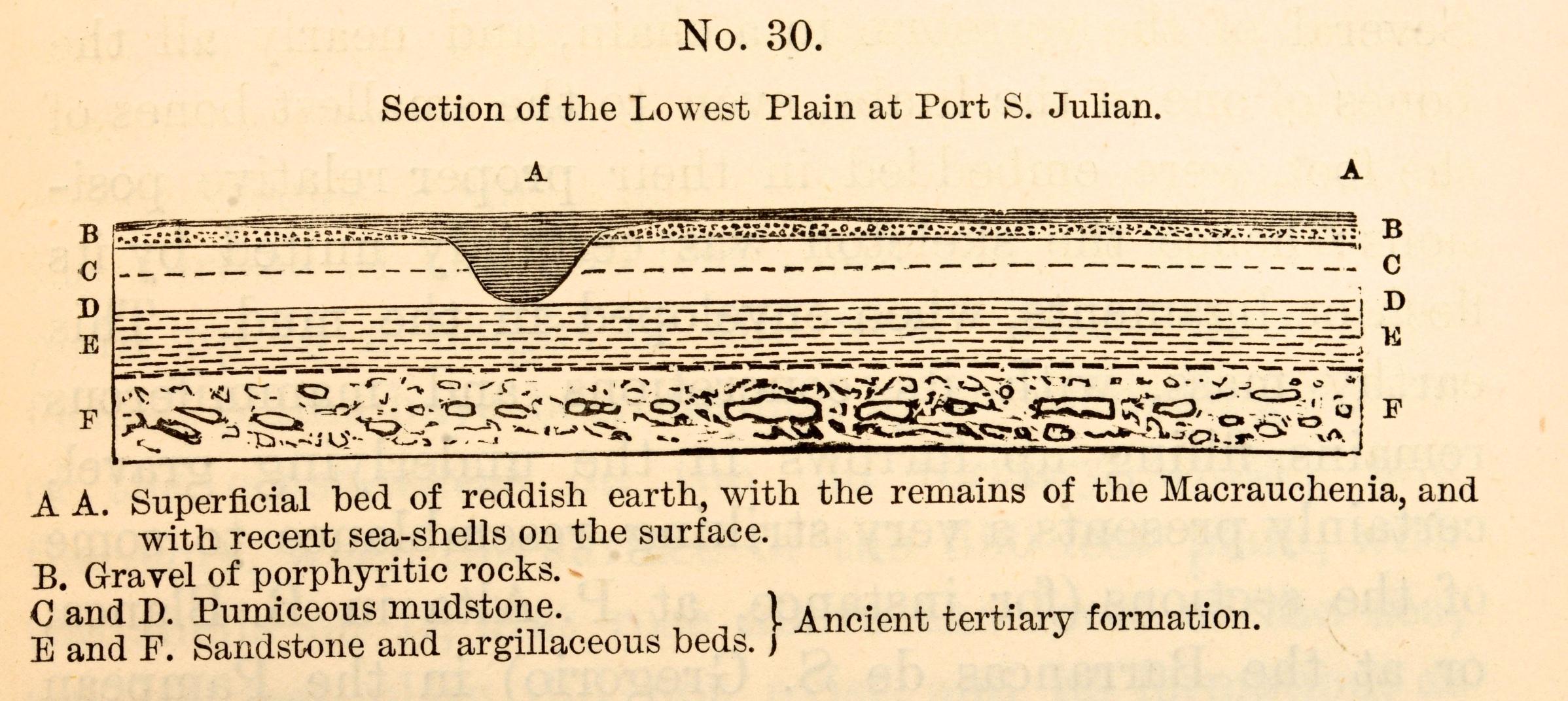 Charles Darwin, Geological Observations on the Volcanic Islands, circa 1891 9