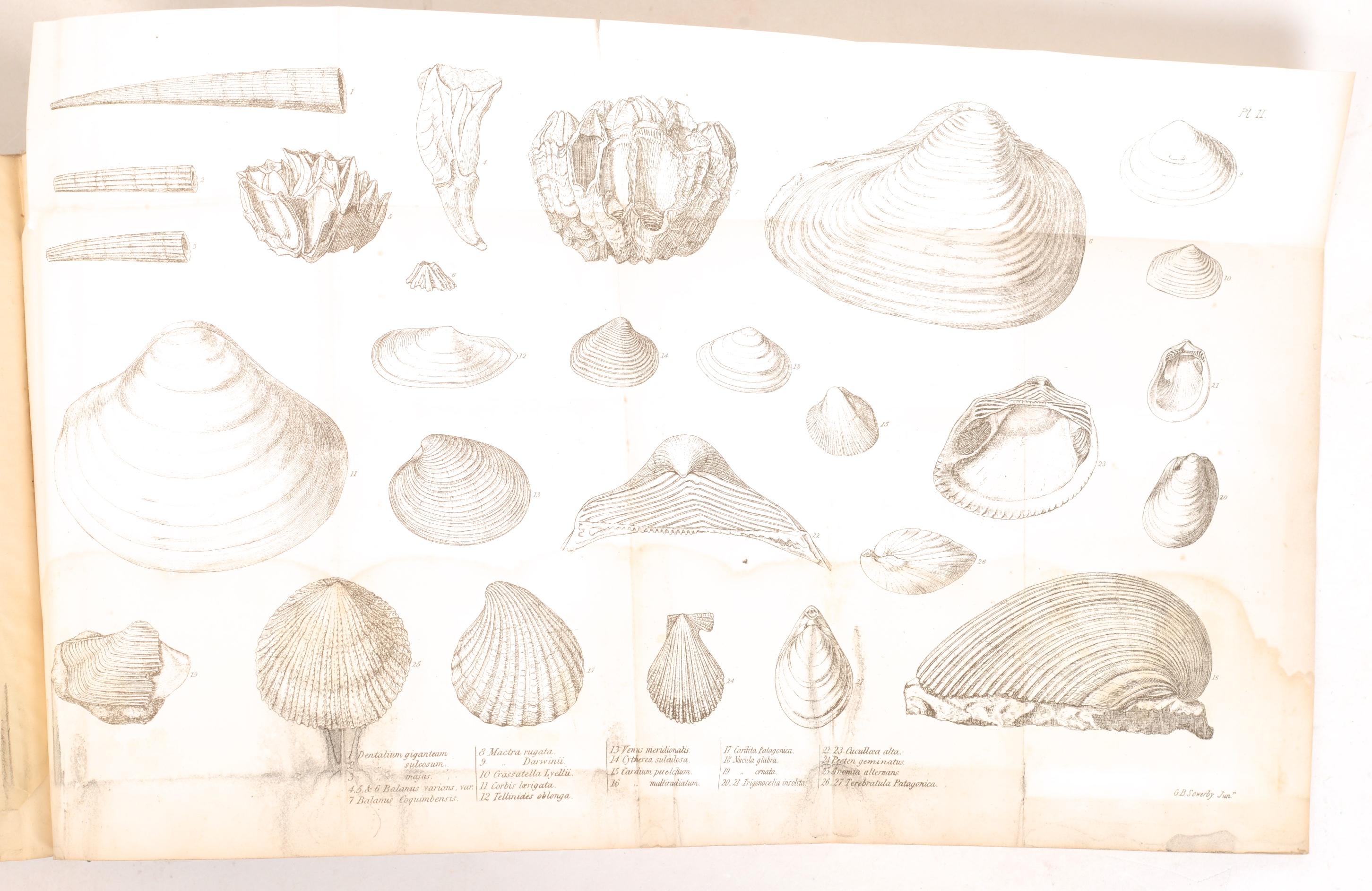 Paper Charles Darwin, Geological Observations on the Volcanic Islands, circa 1891