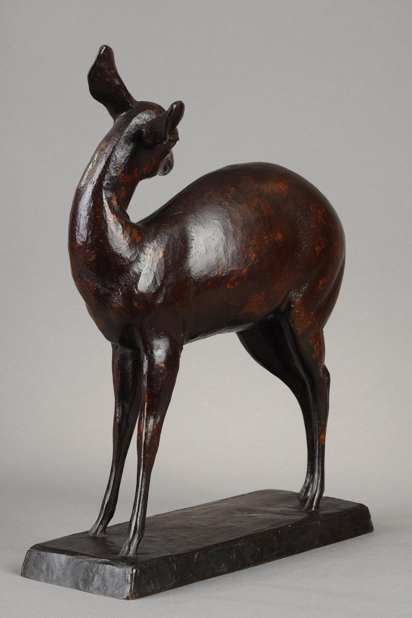 Bushbuck en venta 2