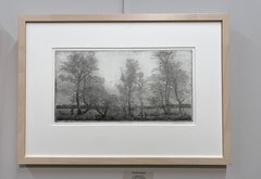 Behind the Frog - 21st Century Contemporary Landscape Etching