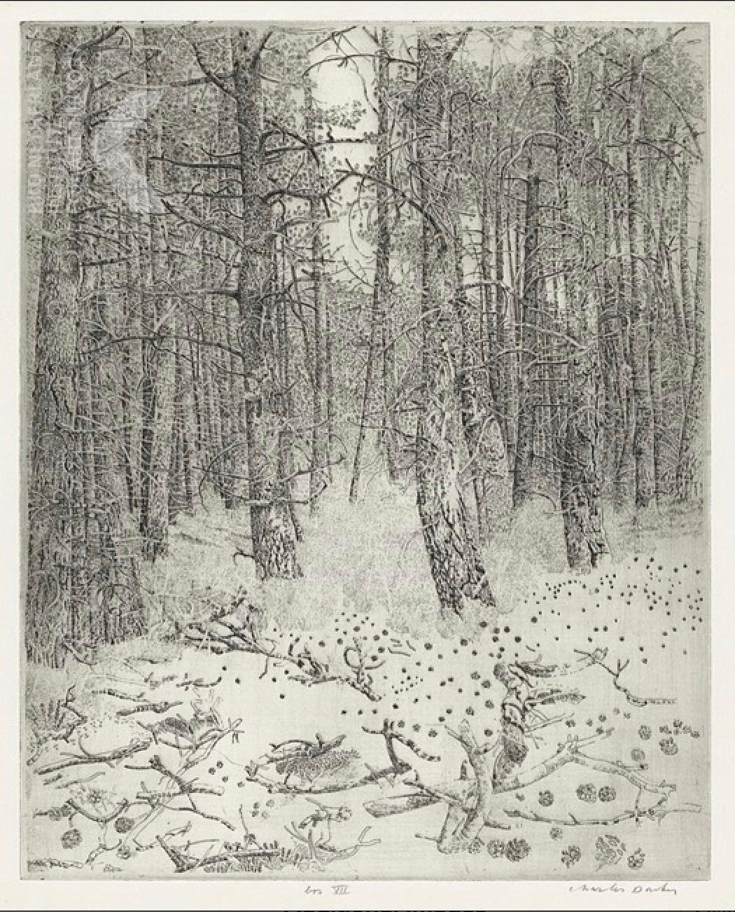 Forest VII - 21st Century Contemporary Landscape Etching