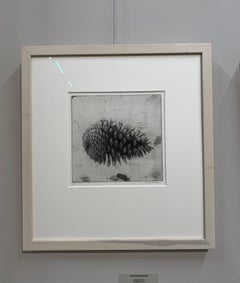 Pomme de pin I - Gravure sur bois contemporaine du 21e siècle