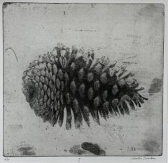Pomme de pin I - Gravure sur bois contemporaine du 21e siècle