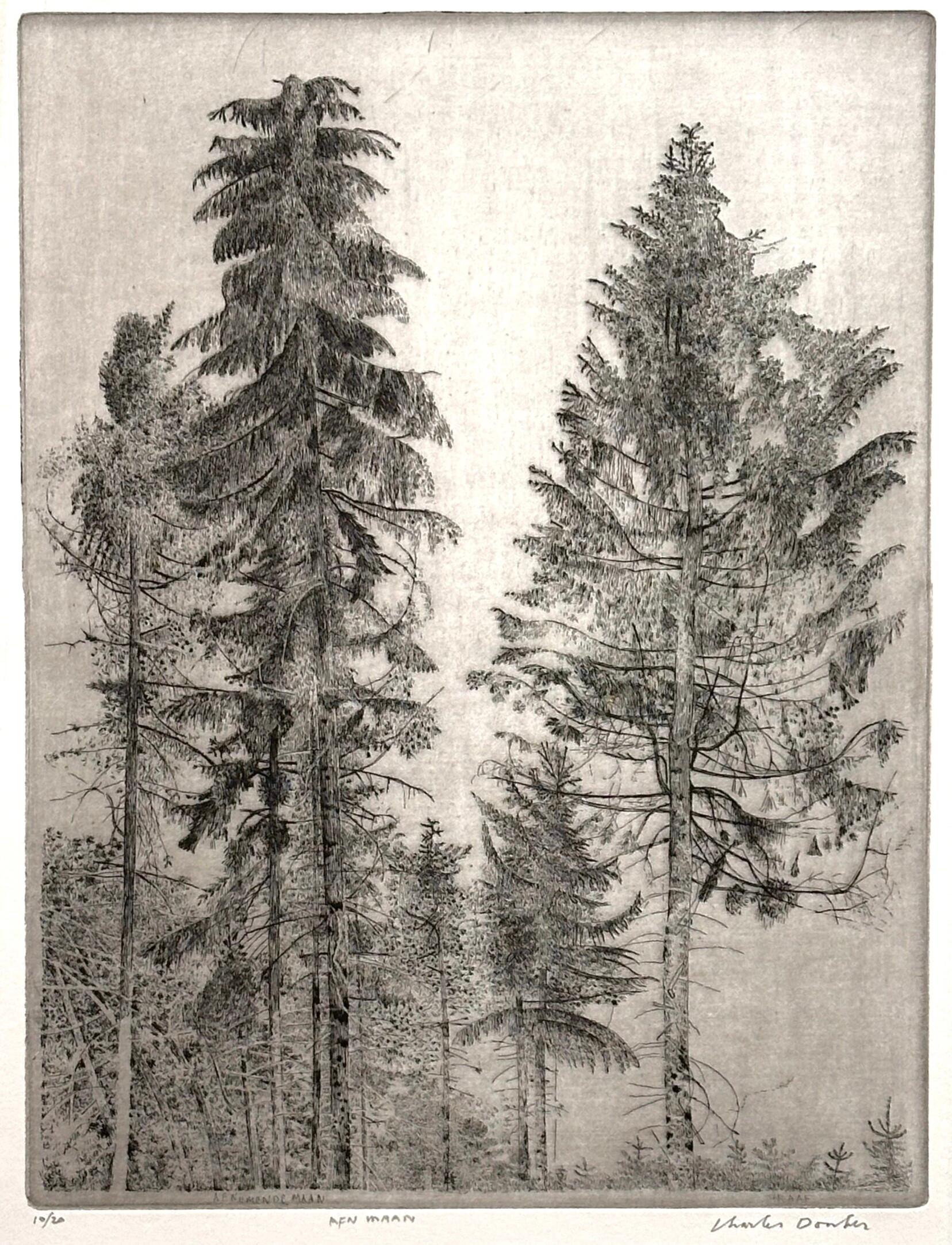 Waning Moon - Gravure à l'eau-forte sur paysage contemporain du 21e siècle