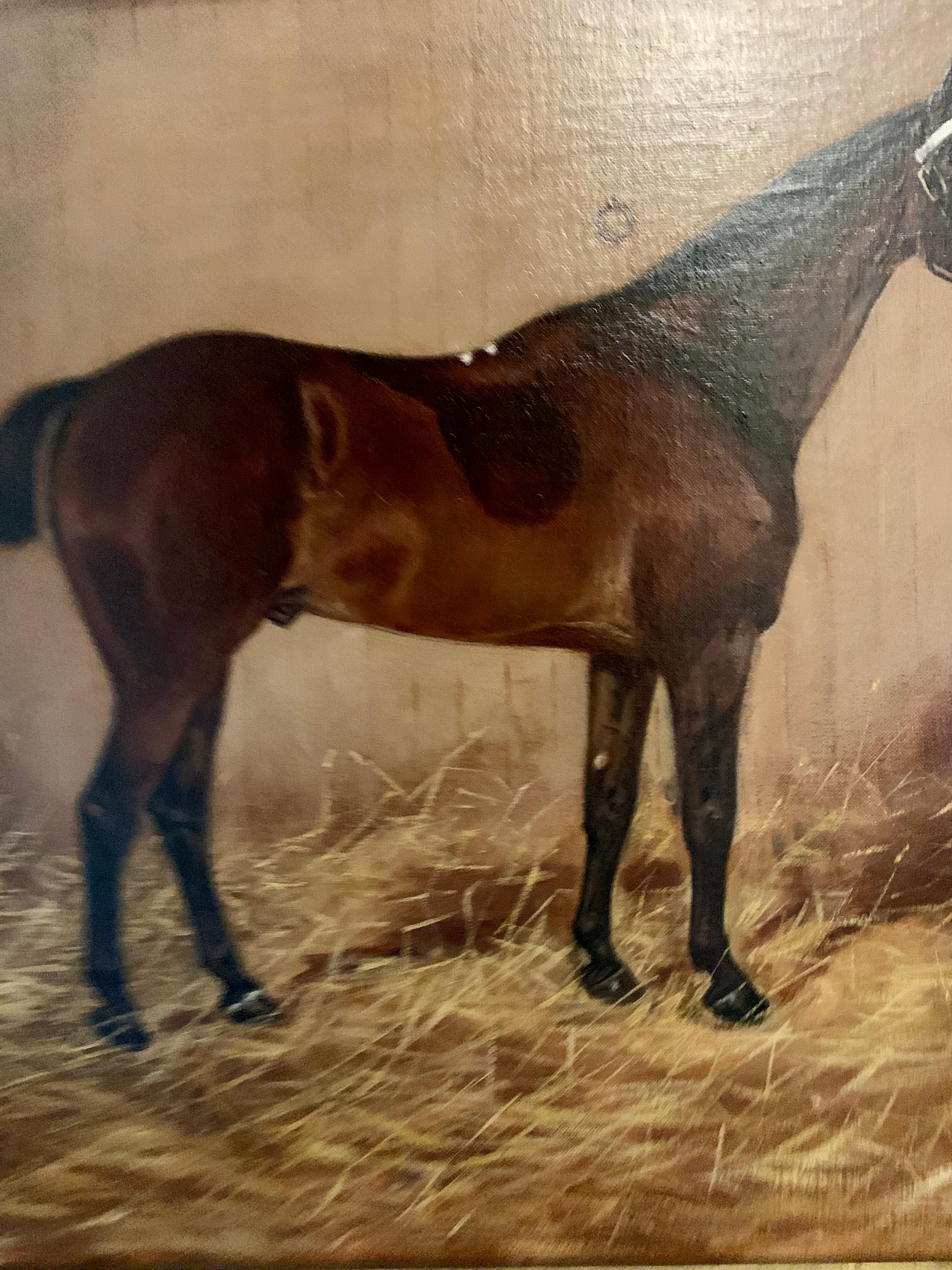19th century English oil portrait of a Horse, Hunter or Polo pony in a stable - Orange Portrait Painting by Charles E Gatehouse