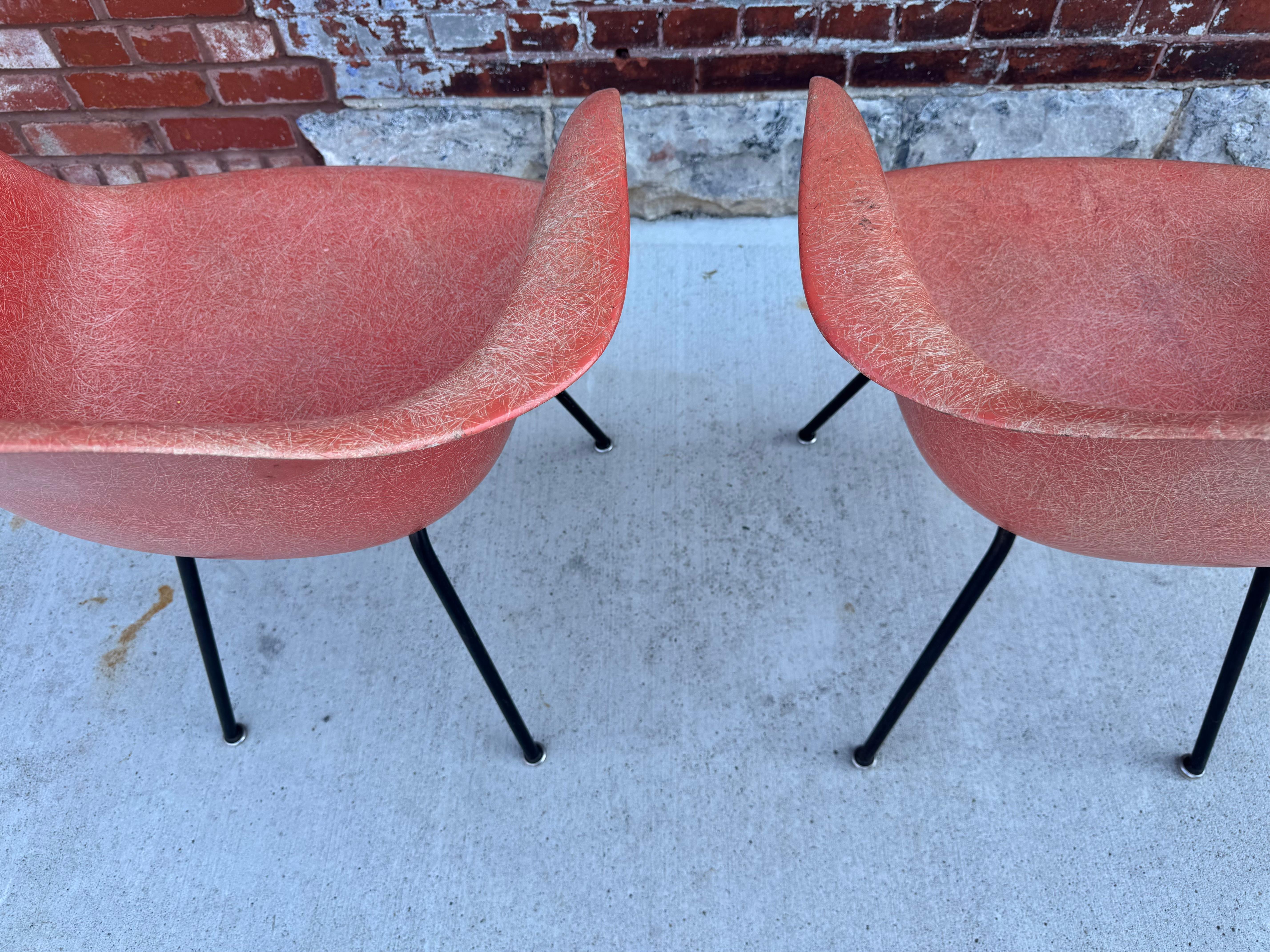 Charles Eames 2nd Generation DAX Fauteuil en fibre de verre couleur inhabituelle. Bon état - En vente à Buffalo, NY