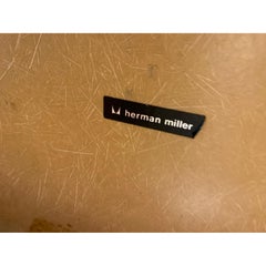 Charles Eames DAX Armchair Edition Herman Miller Fibreglass