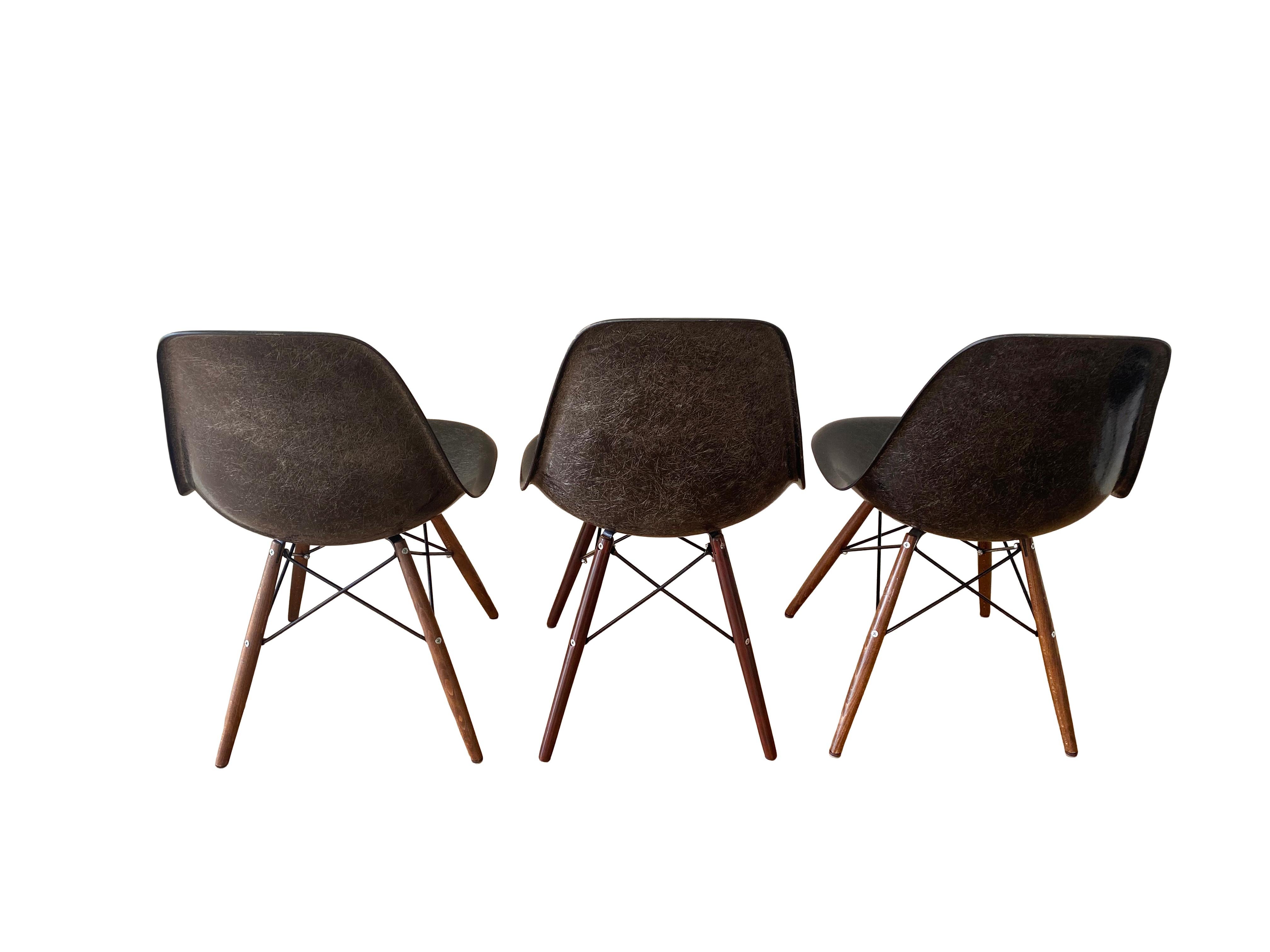 Fin du 20e siècle Chaises de salle à manger Charles Eames DSW en fibre de verre noire par Herman Miller années 1970 en vente