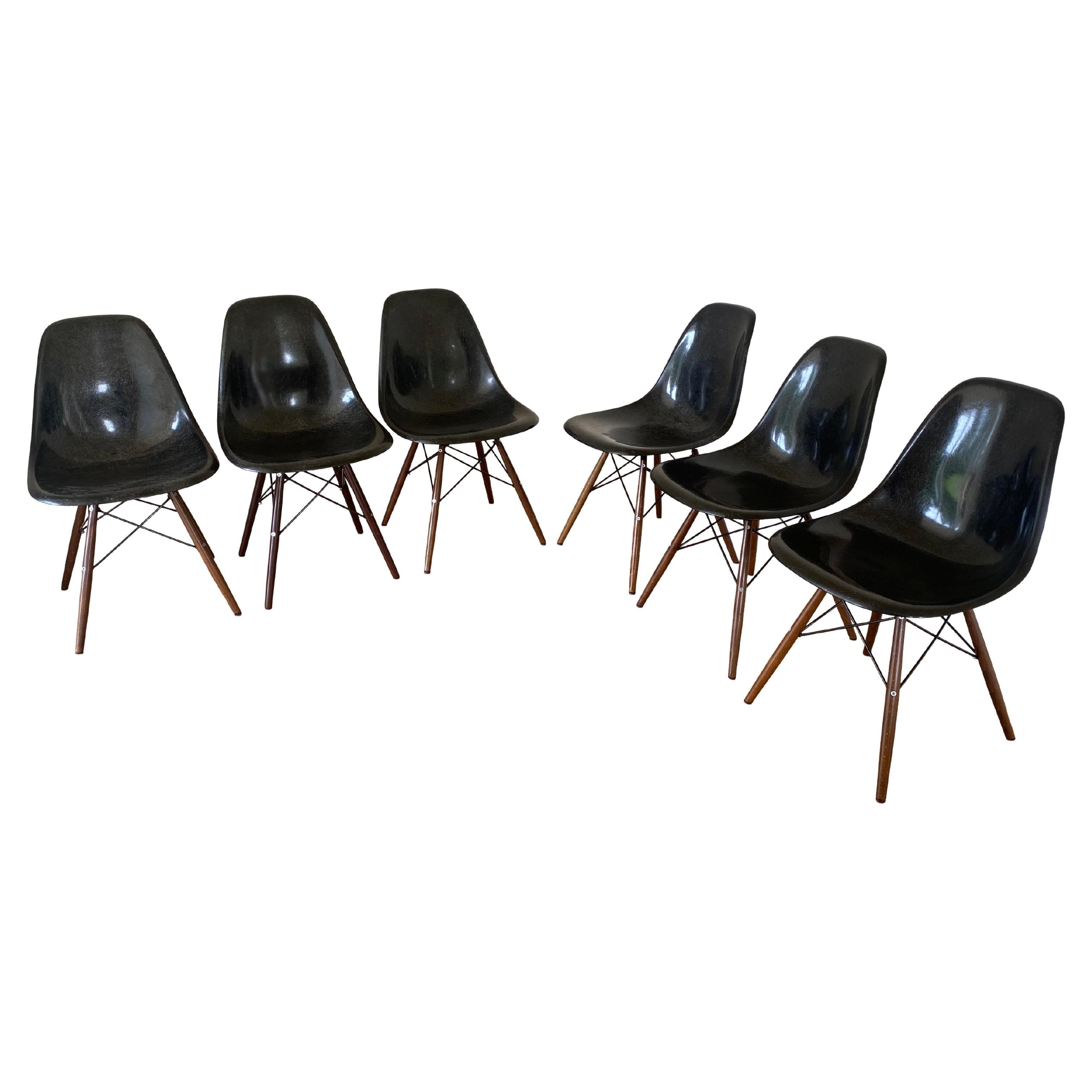 Charles Eames DSW Esszimmerstühle aus schwarzem Fiberglas von Herman Miller 1970er Jahre