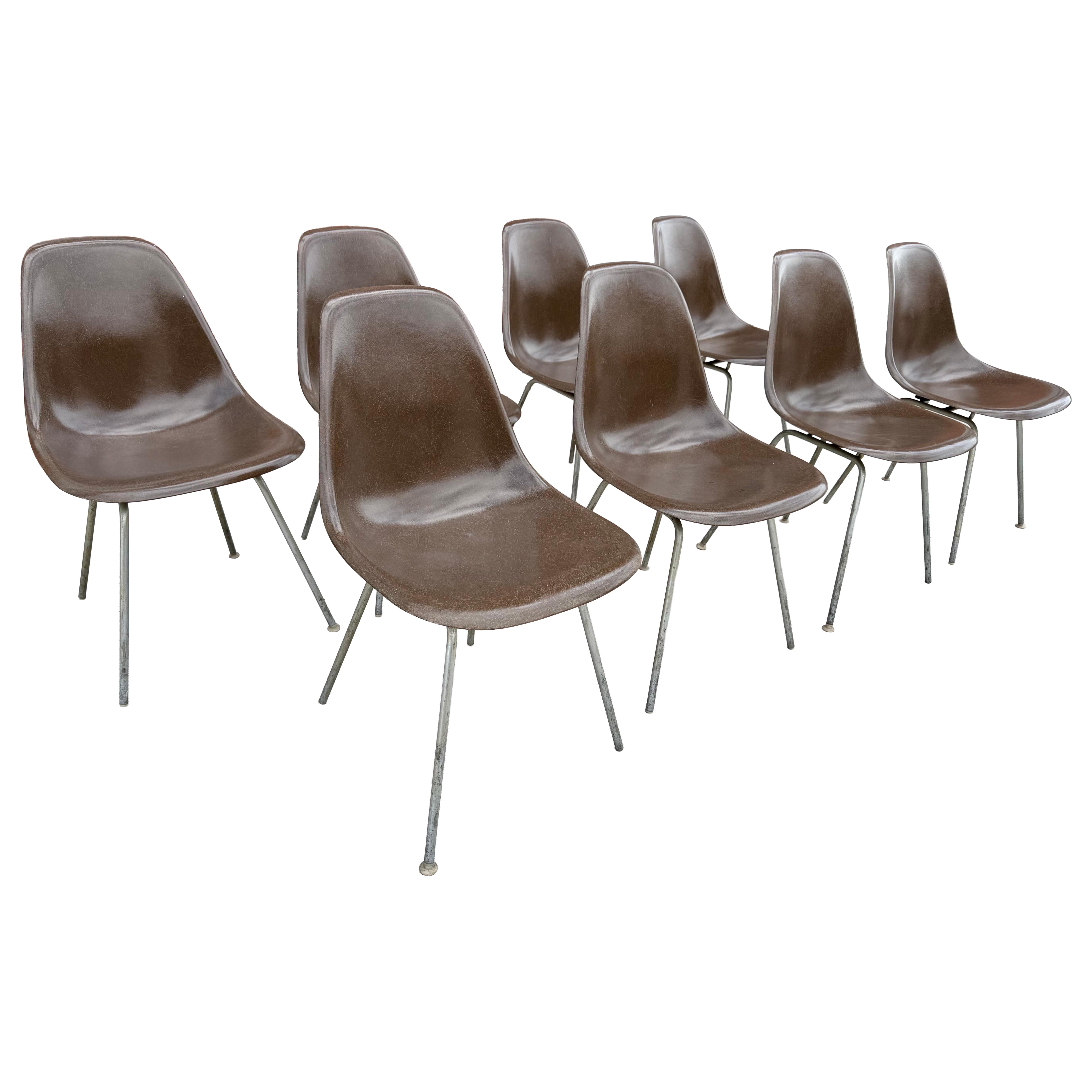 Charles Eames DSX Satz 8 Fiberglas Beistellstühle RARE SEAL BROWN Herman Miller im Angebot