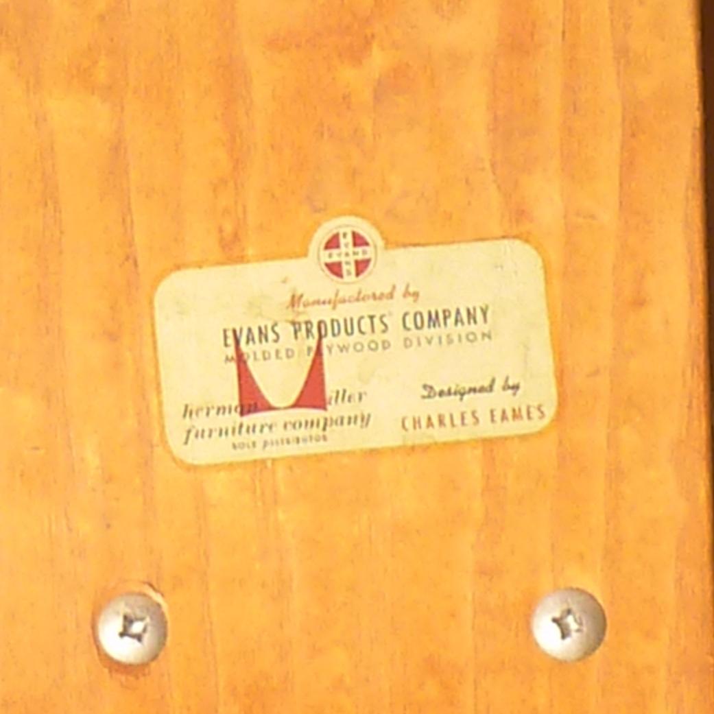 Charles Eames, early original LCW chair, ash plywood, Evans production, 1948 in vendita 5