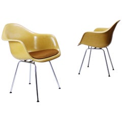 Charles Eames Molded  Fiberglass Dax Armchairs on H-Base