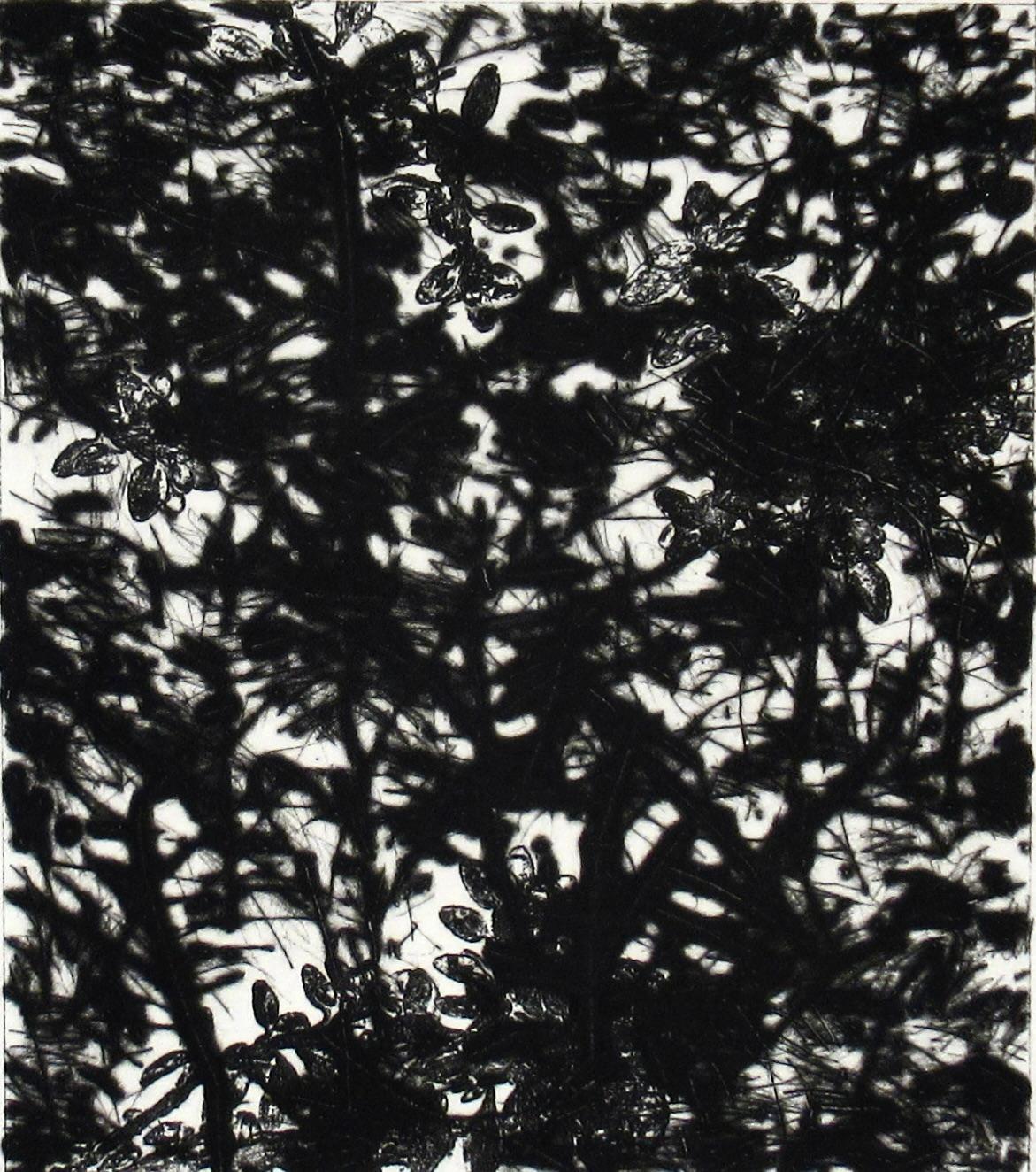 Jardín - Print de Charles Eckart