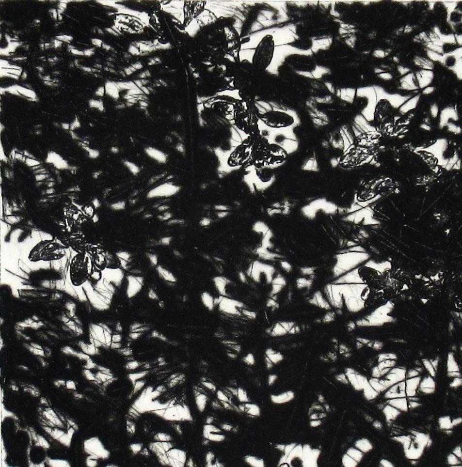 Jardín - Print Expresionismo abstracto de Charles Eckart