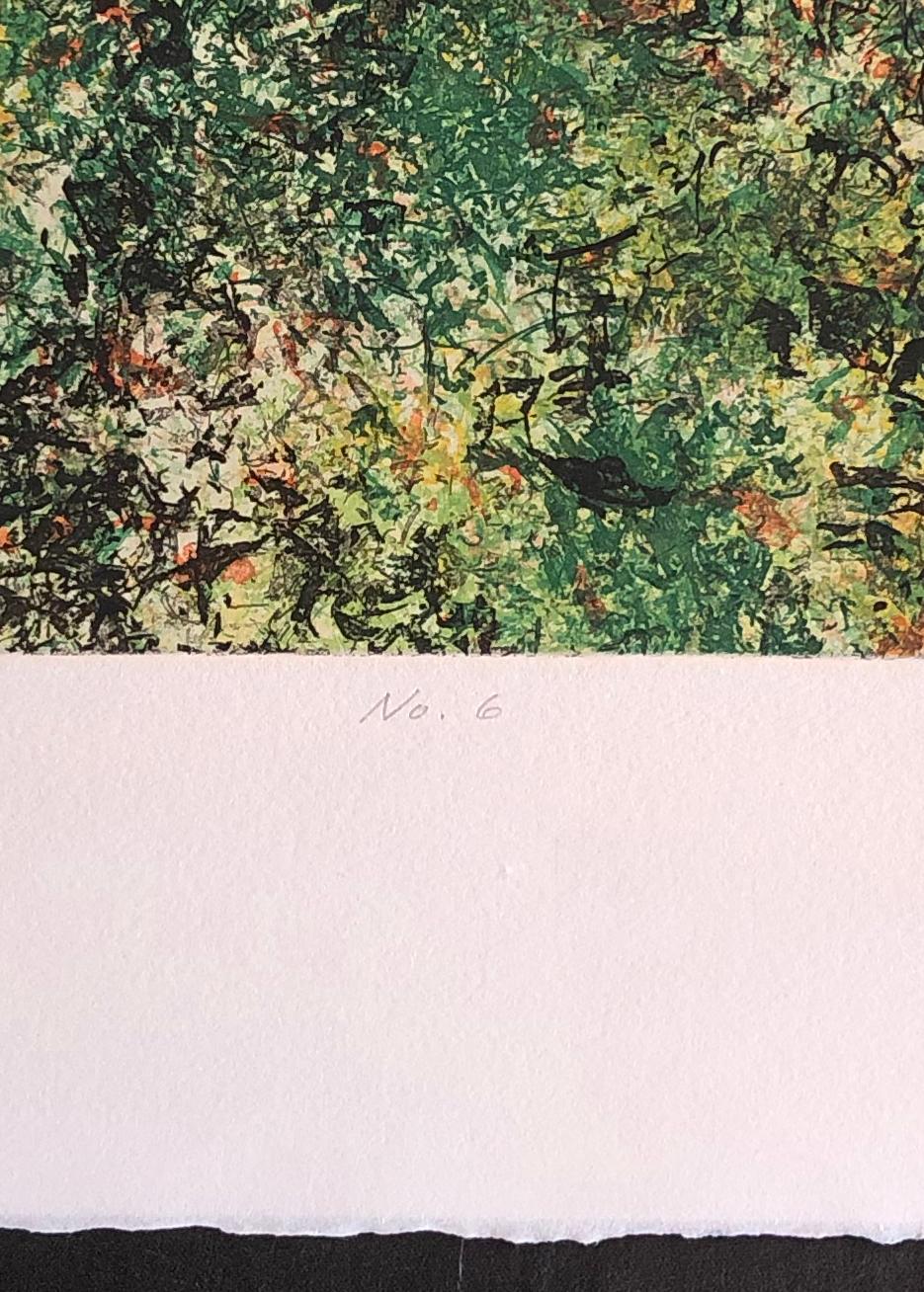 Ground Cover No. 6, abstract landscape by Charles Eckart For Sale 3