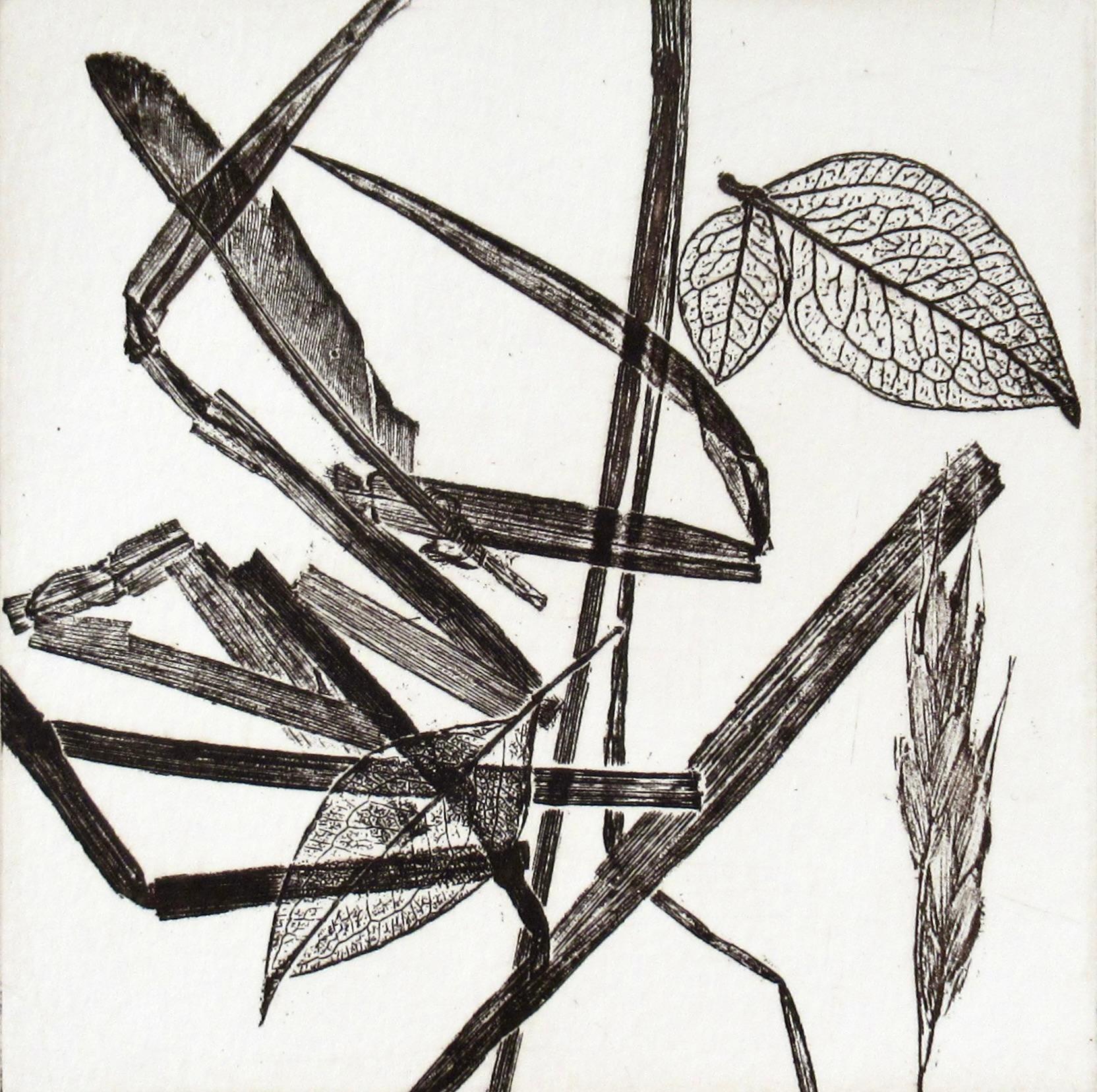 Leafs - Print by Charles Eckart