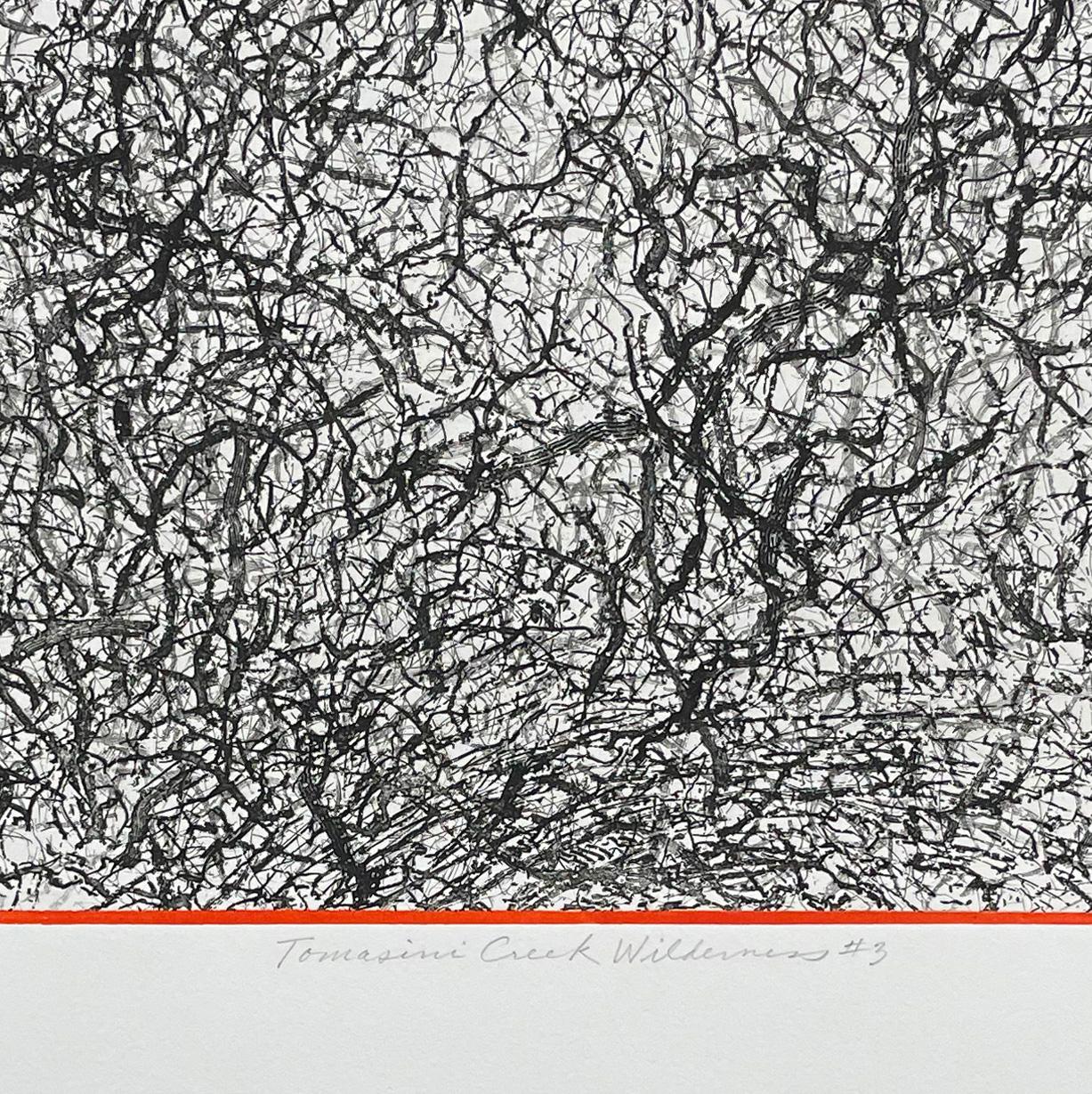 
Signed, titled and numbered from the edition of 7. Black and white abstract etching, from a series inspired by ground cover and vegetation in the Point Reyes, California area.

Charles Eckart was born in Oakland, California and grew up in Yosemite
