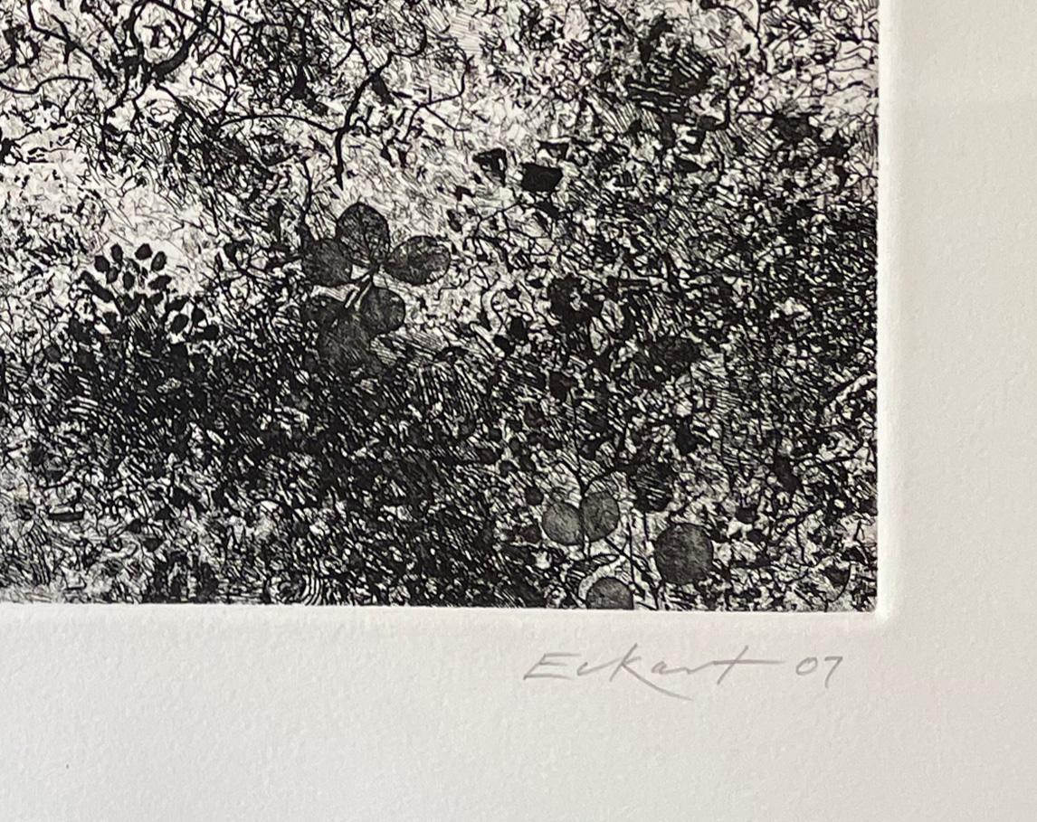 Abstract print from a series inspired by ground cover and vegetation. Signed, titled, and numbered #1/10 done with hard and soft ground etching.

Charles Eckart was born in Oakland, California and grew up in Yosemite Valley. He is a painter who