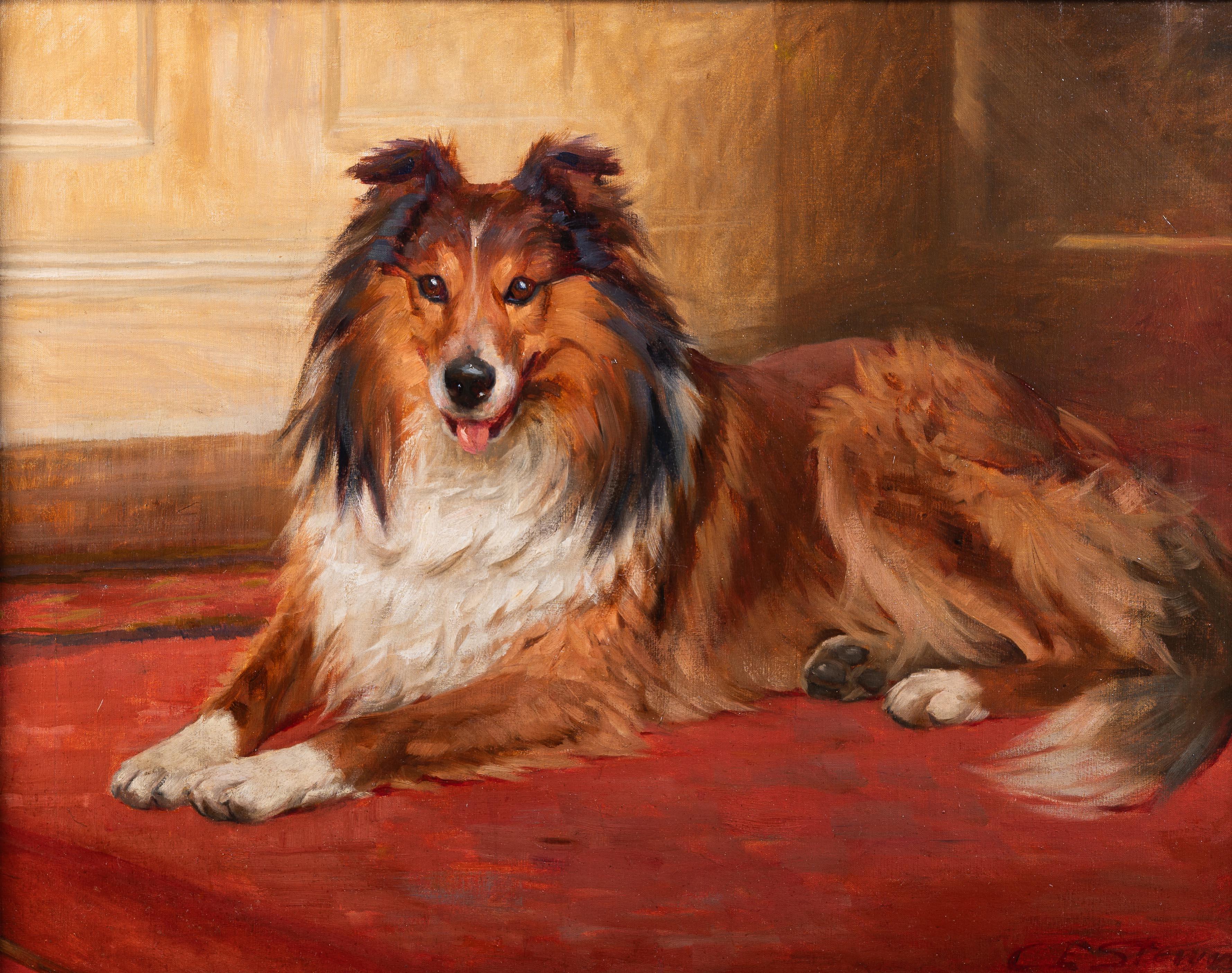 A collie lying down - Painting by Charles Edward Stewart 