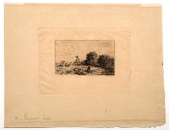 Paysage, Saules