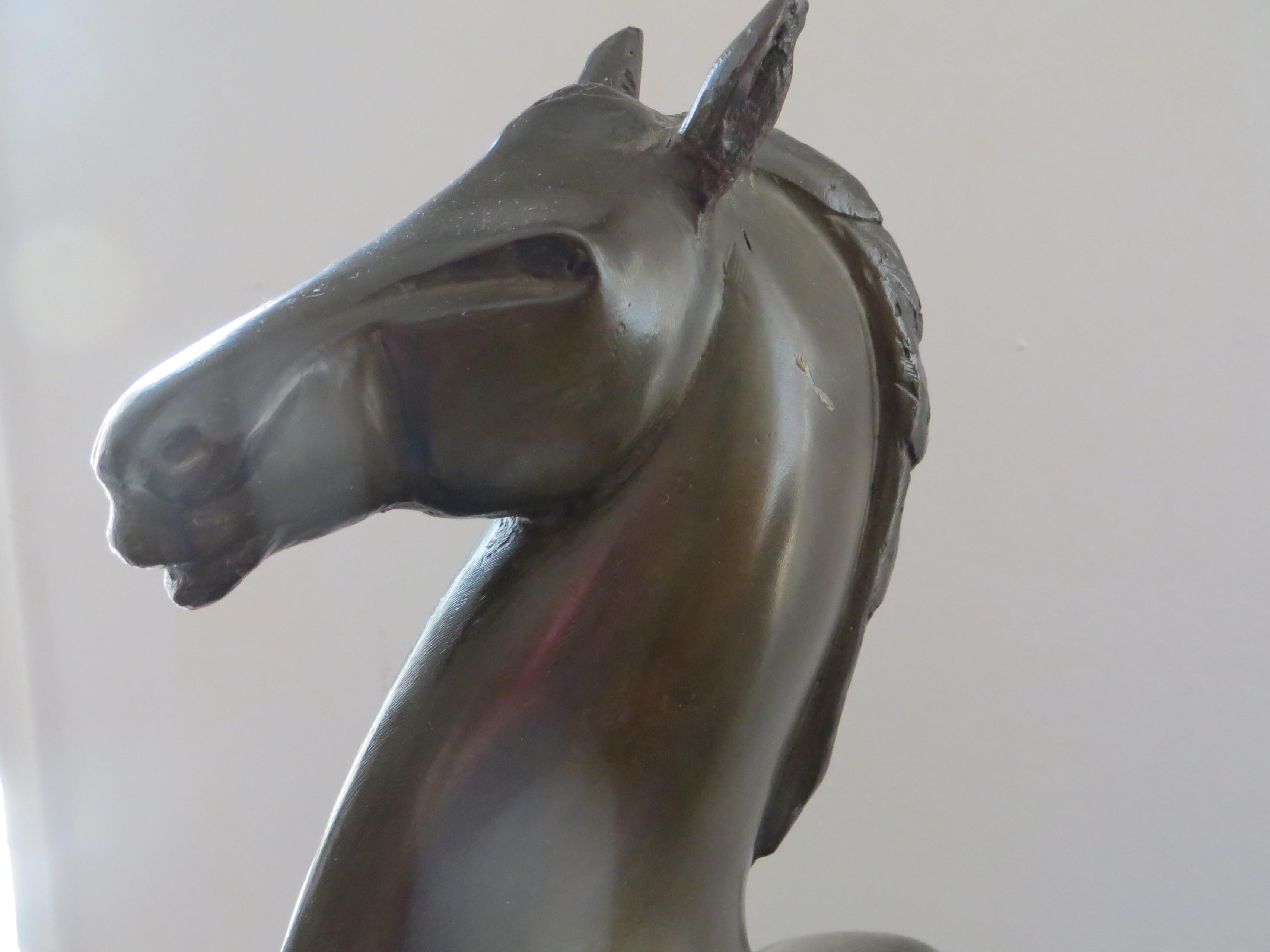 Cheval en vente 3